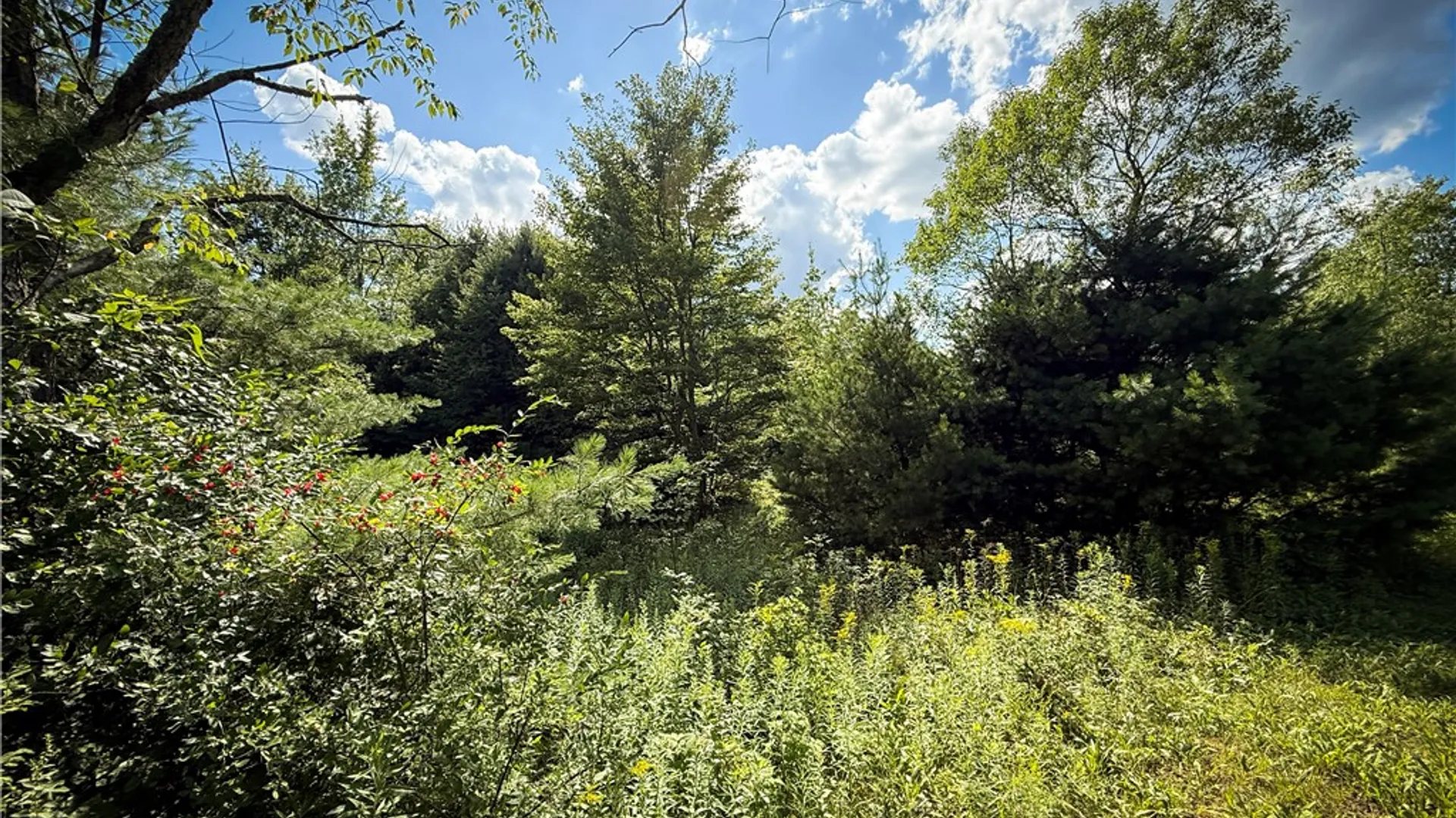 Property at N Greenbush Road, Erin, NY 14838 25