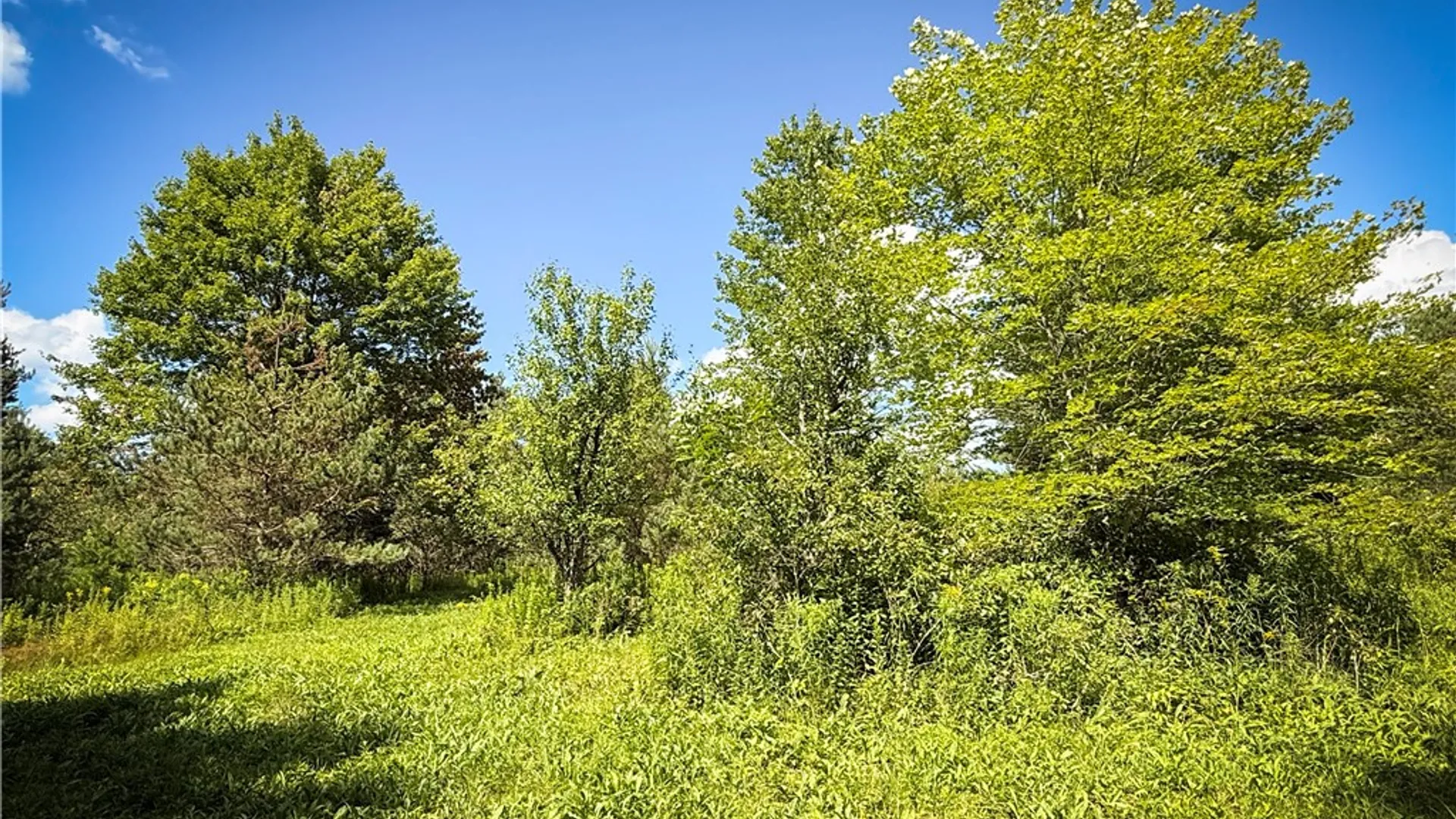 Property at N Greenbush Road, Erin, NY 14838 26
