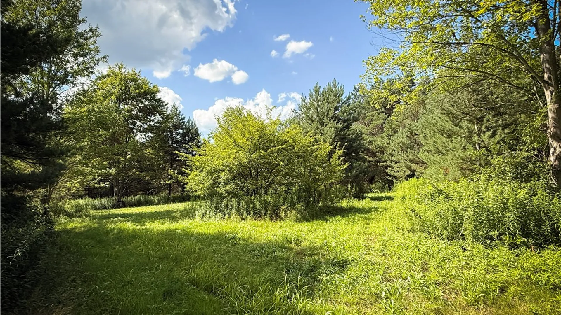 Property at N Greenbush Road, Erin, NY 14838 30