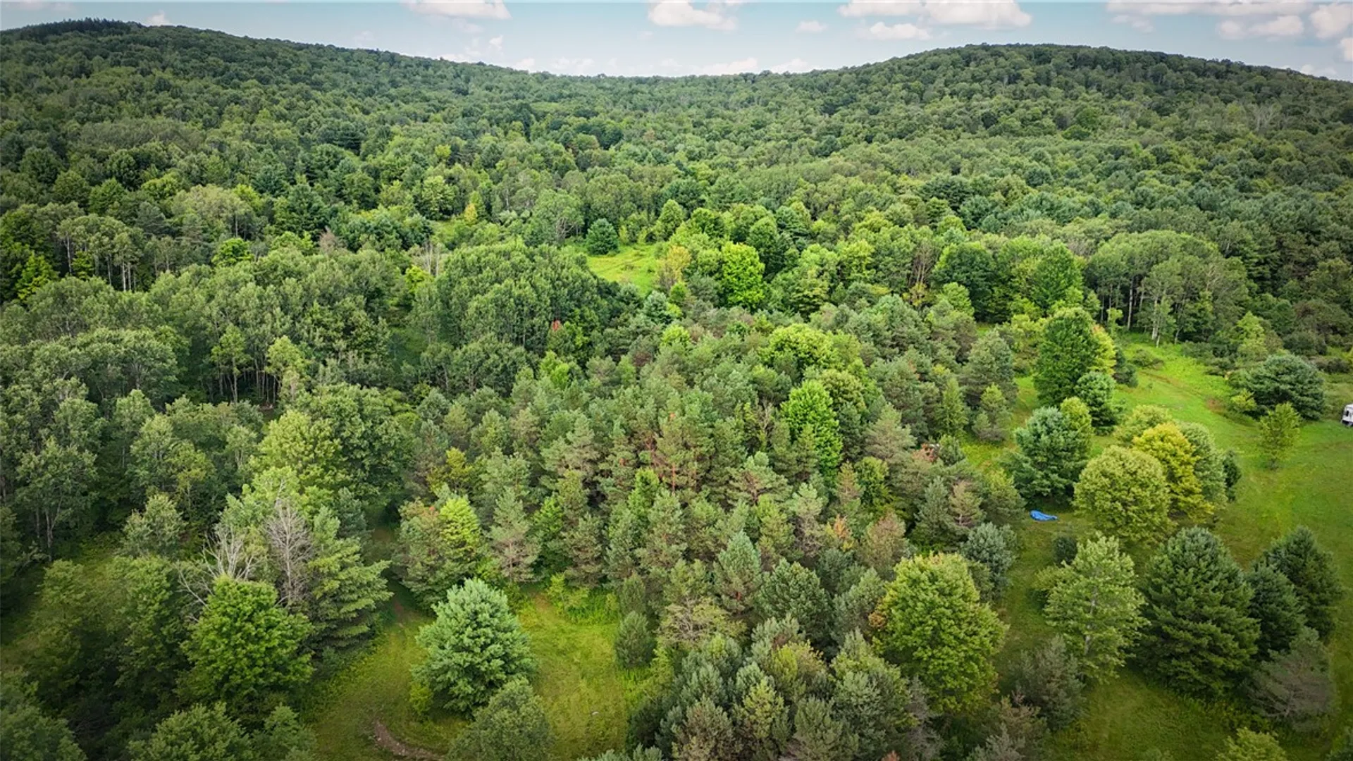 Property at N Greenbush Road, Erin, NY 14838 37