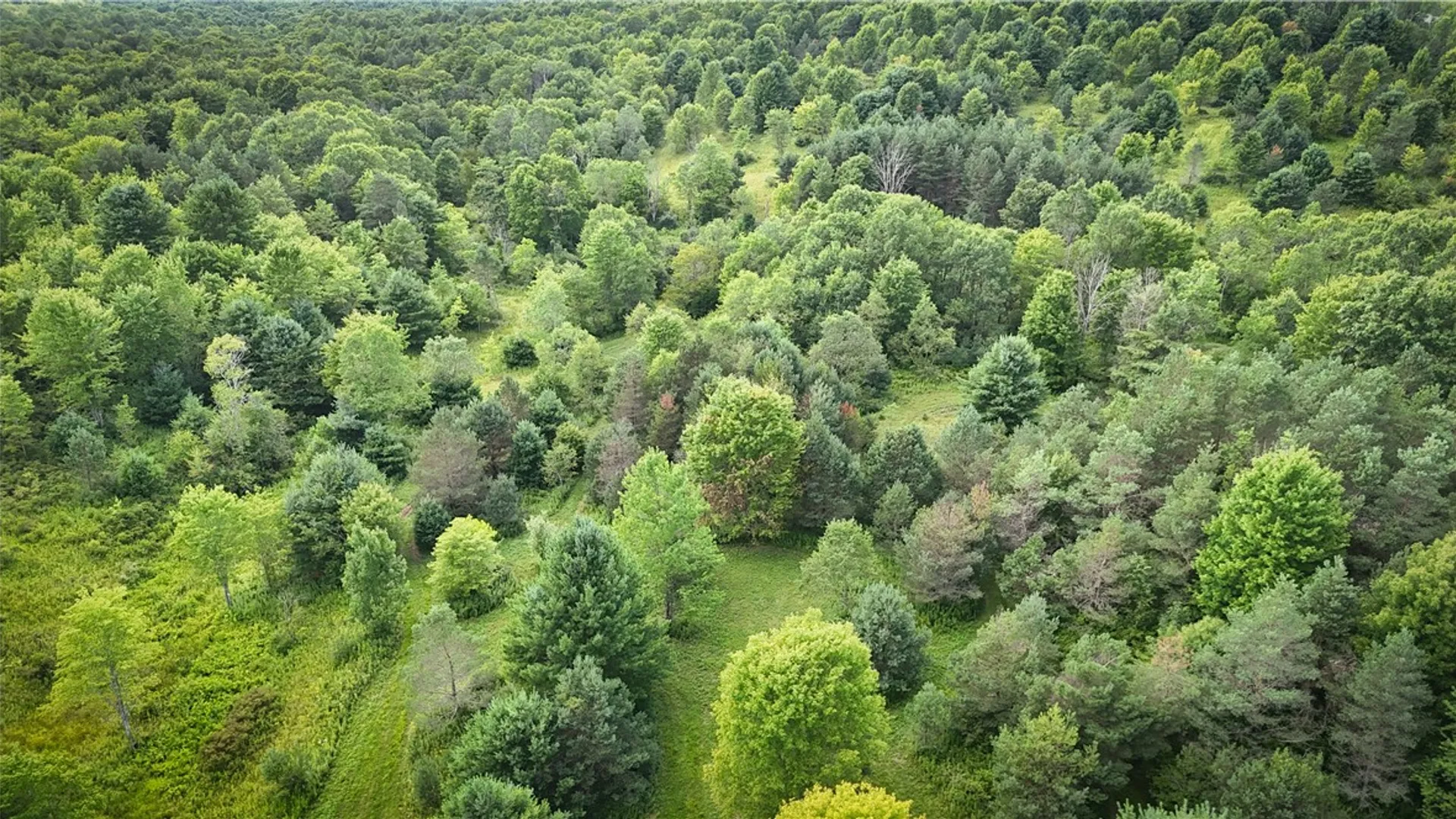 Property at N Greenbush Road, Erin, NY 14838 40