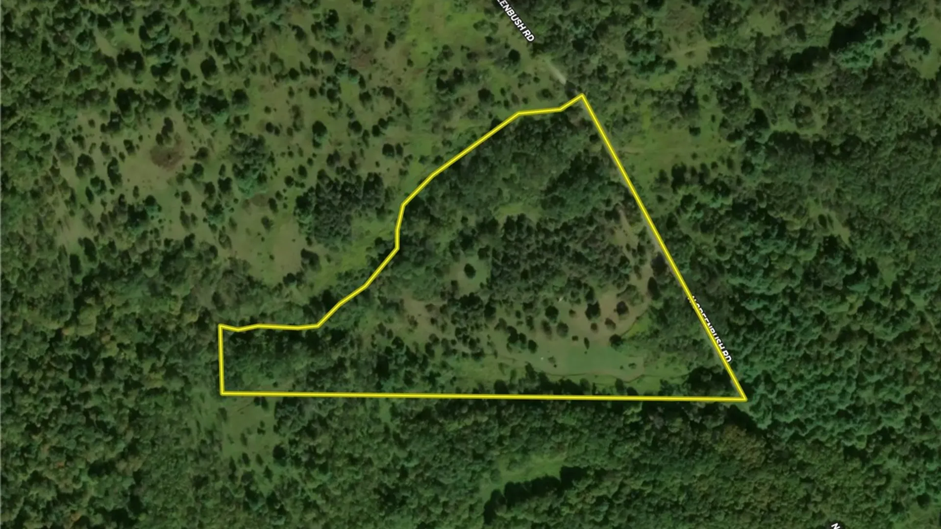 Property at N Greenbush Road, Erin, NY 14838 41