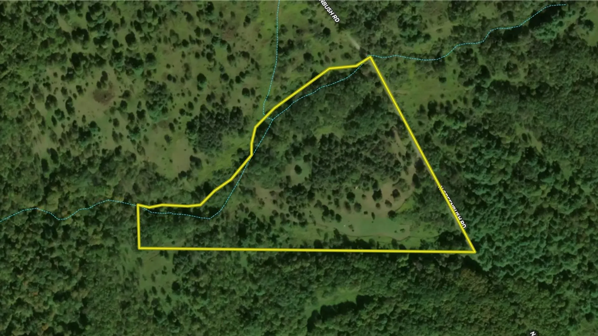 Property at N Greenbush Road, Erin, NY 14838 43