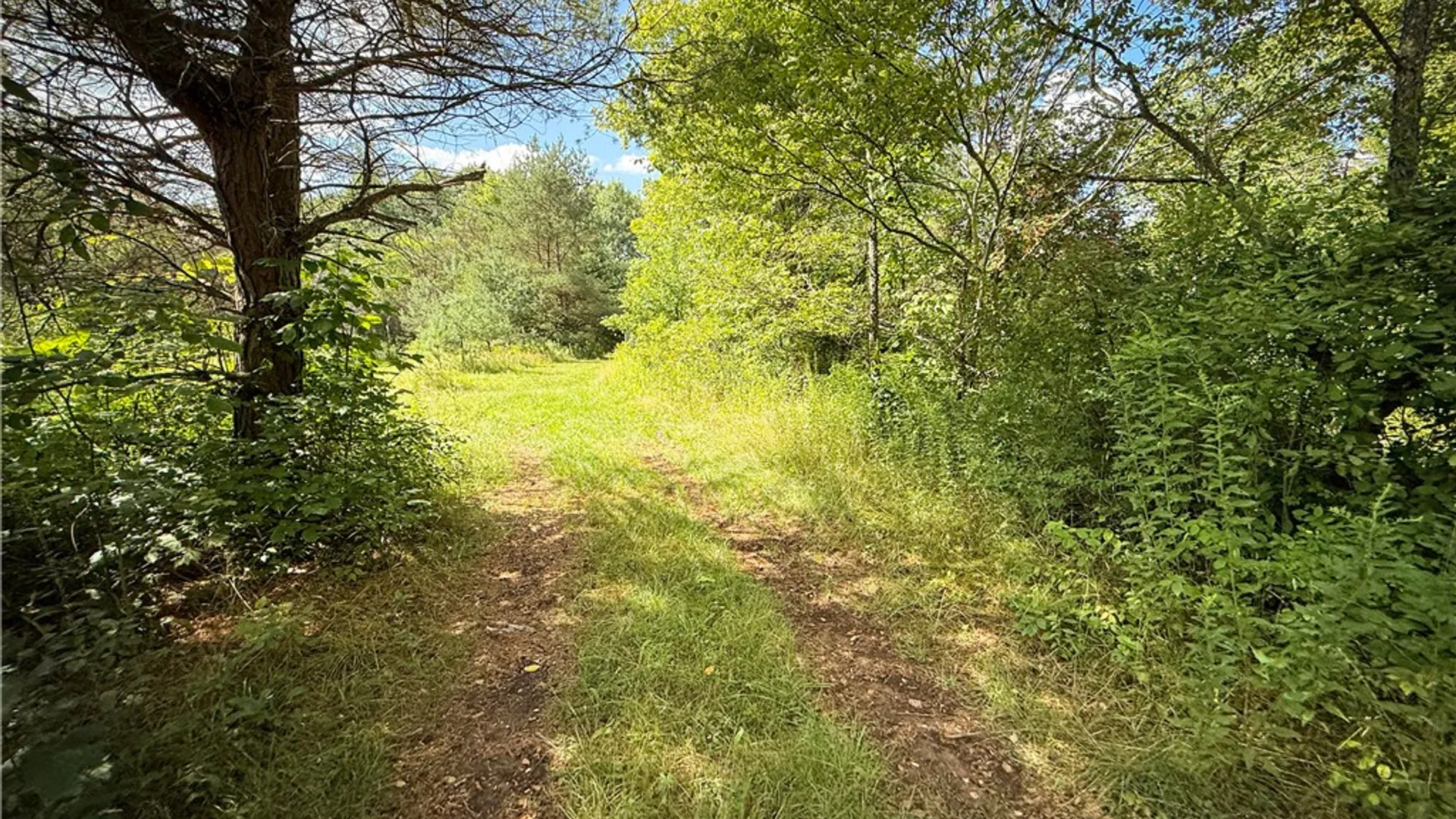 Property at N Greenbush Road, Erin, NY 14838 13