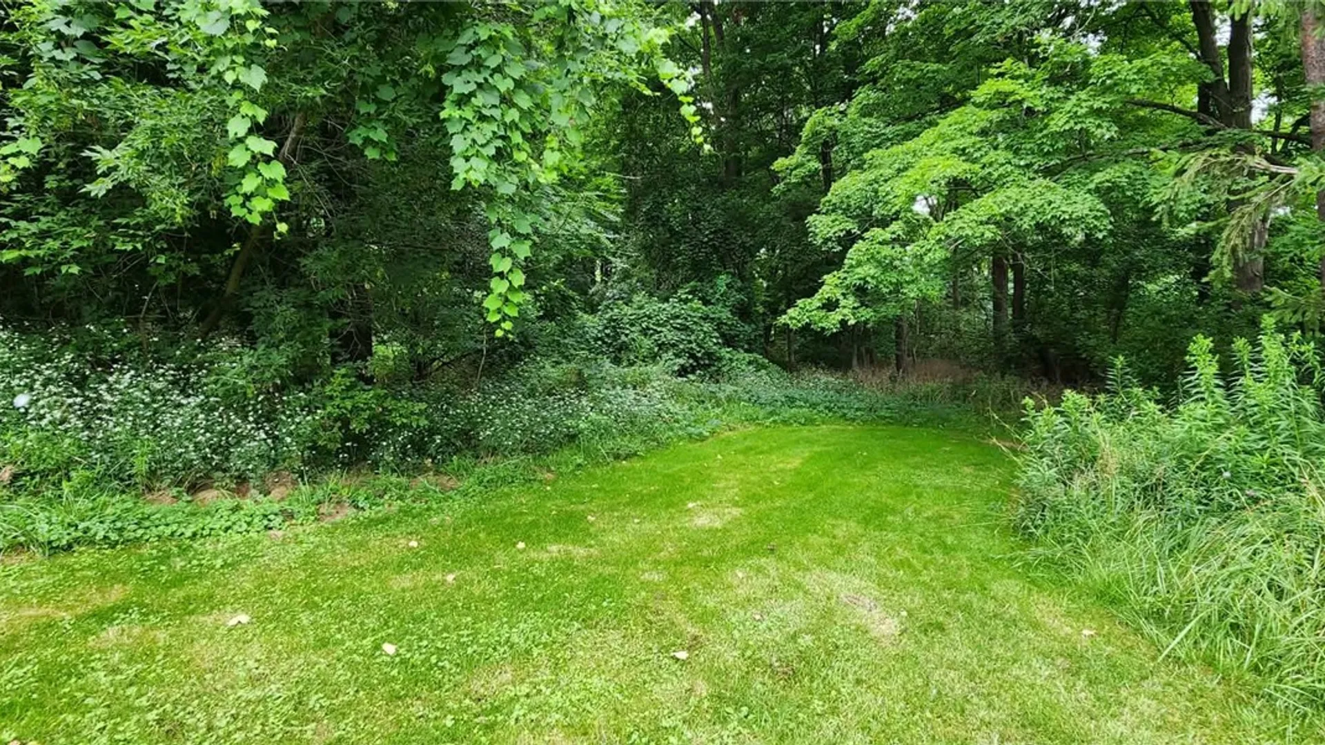 Property at 9560 Brandywine Drive, Wayne, NY 14893 30
