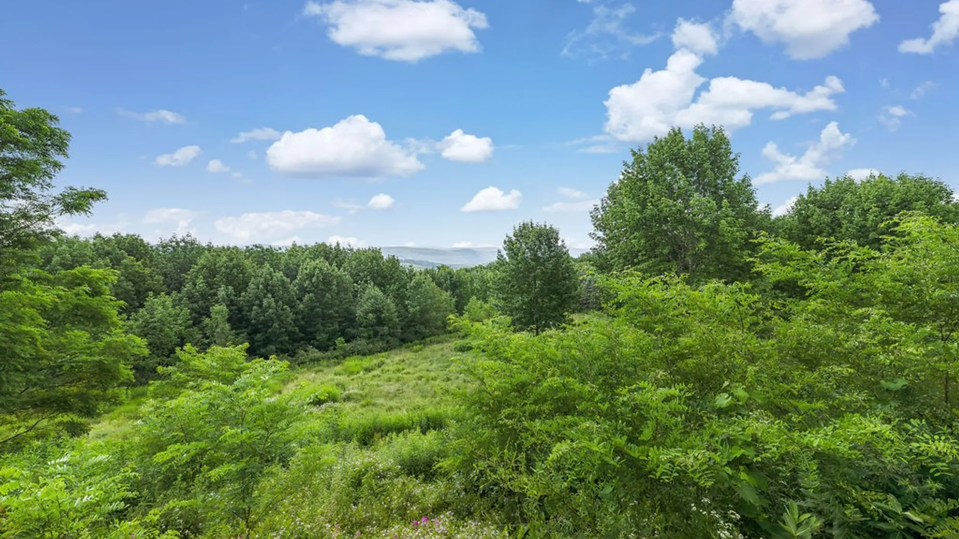 Property at 210 Huff Road, Otsego, NY 13326 39
