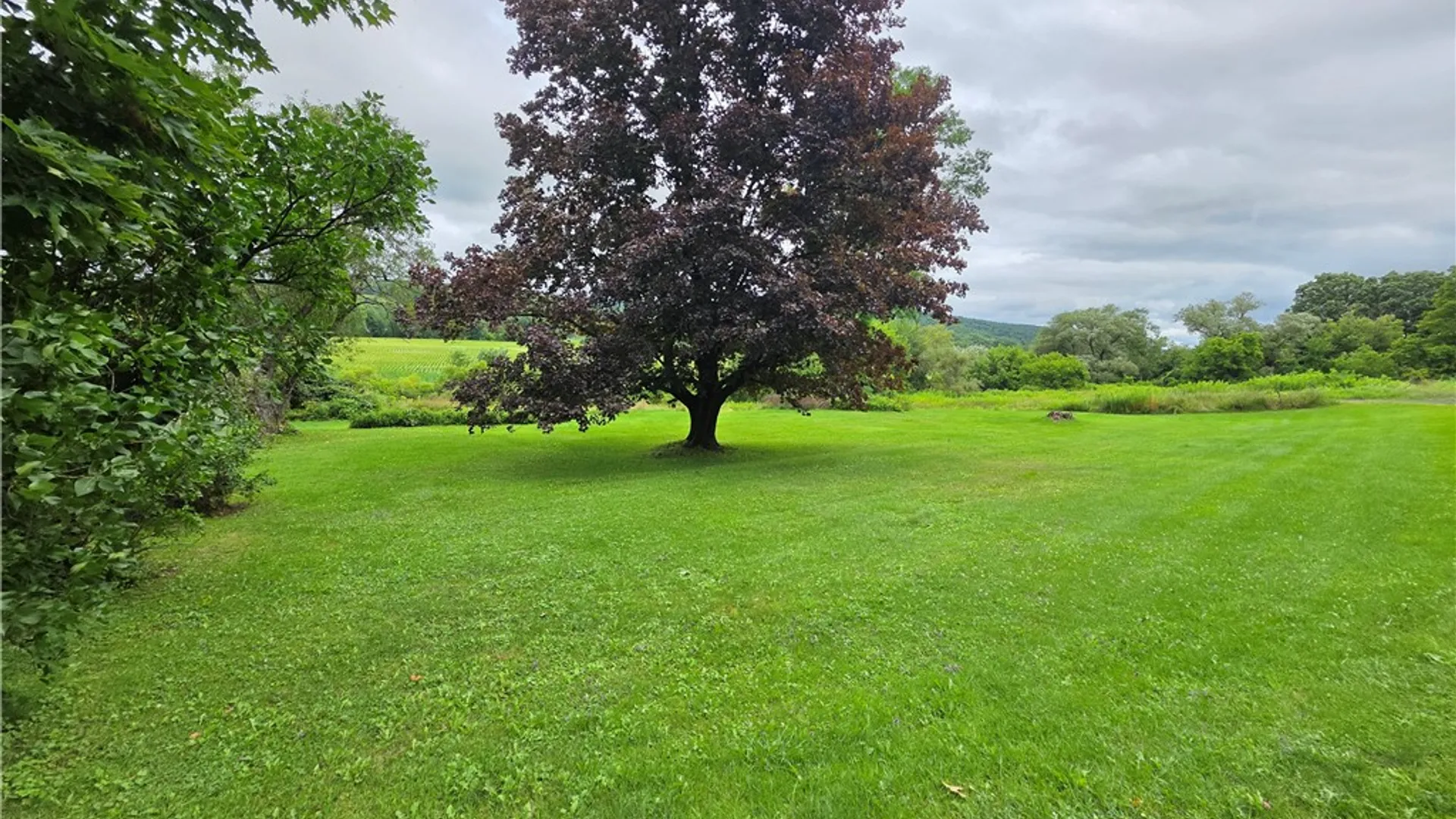 Property at 1479 County Road 39, Bainbridge, NY 13733 46