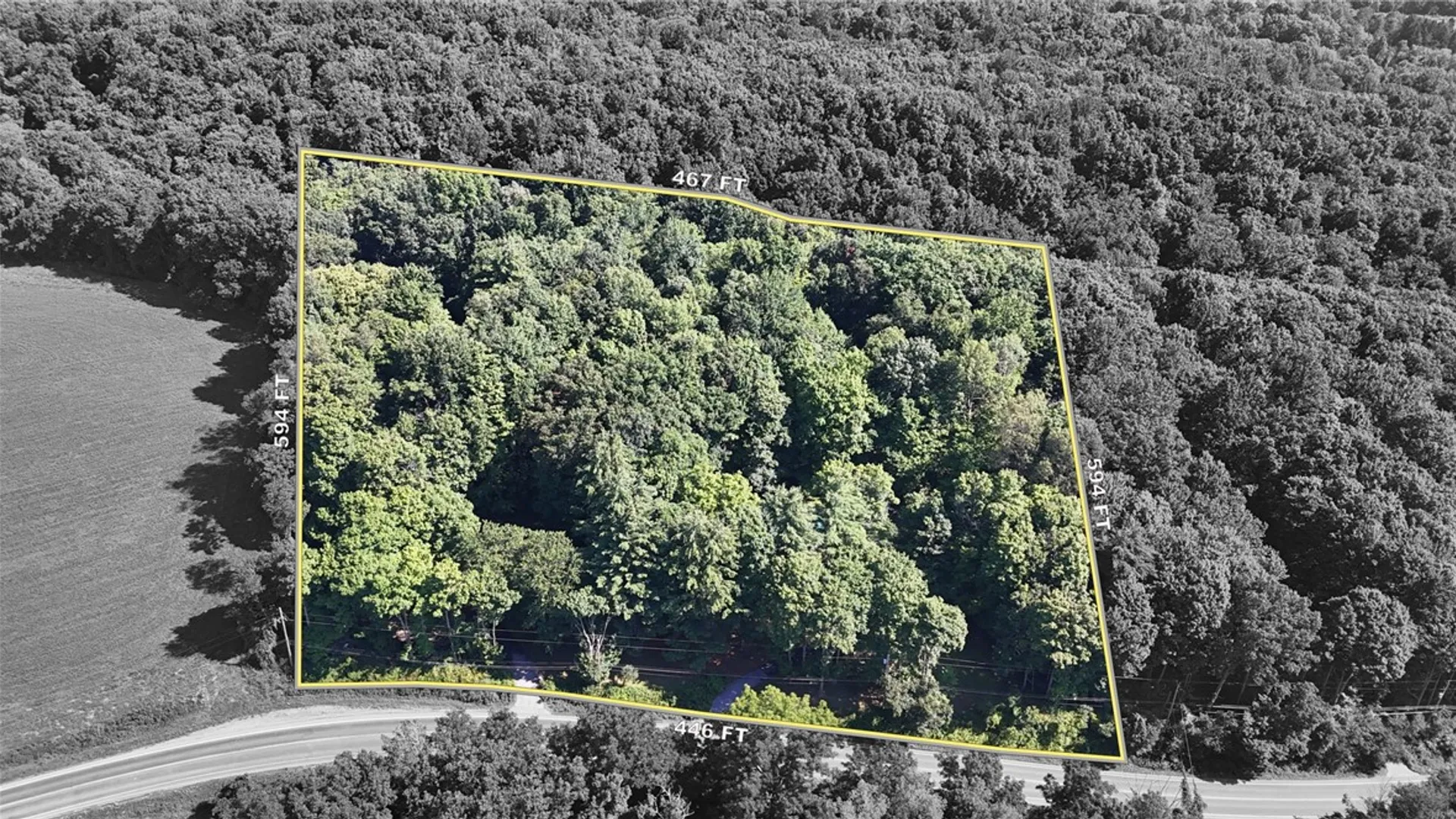Property at 358 Bostwick Road, Ithaca Town, NY 14850 3