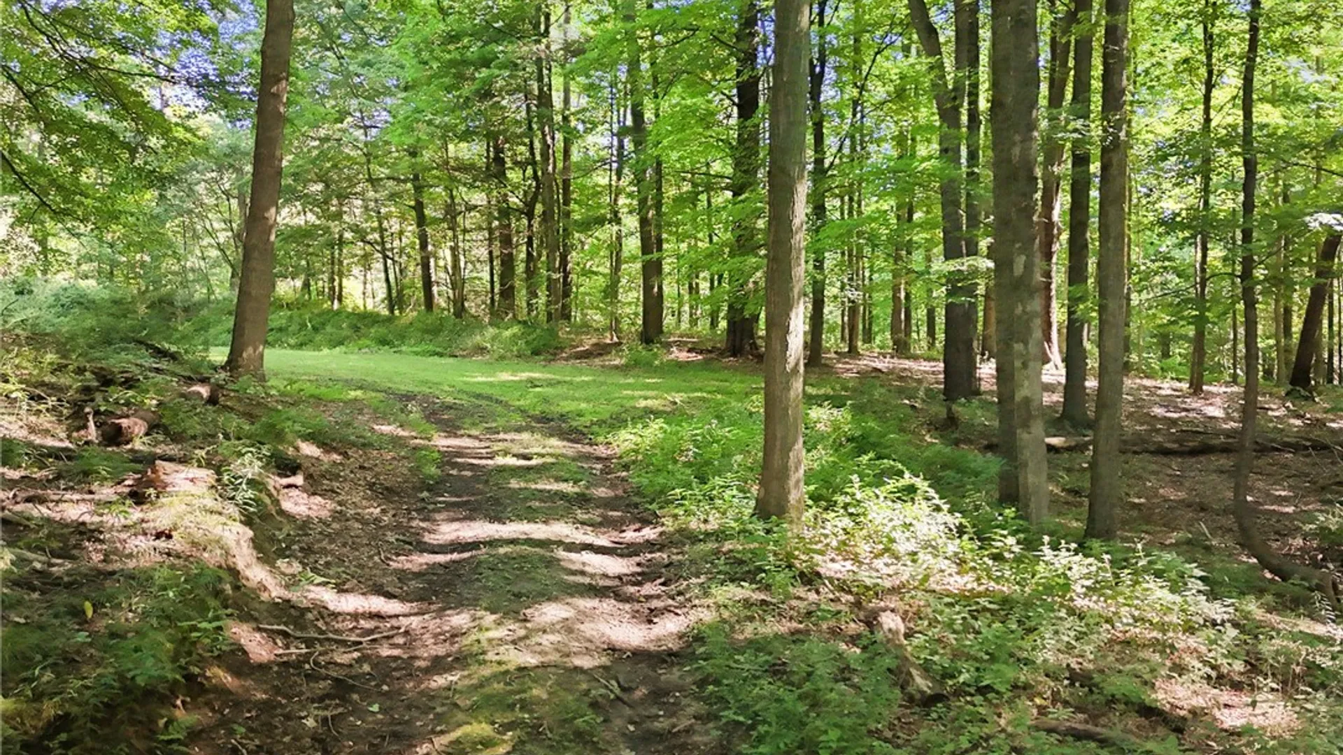 Property at 358 Bostwick Road, Ithaca Town, NY 14850 44