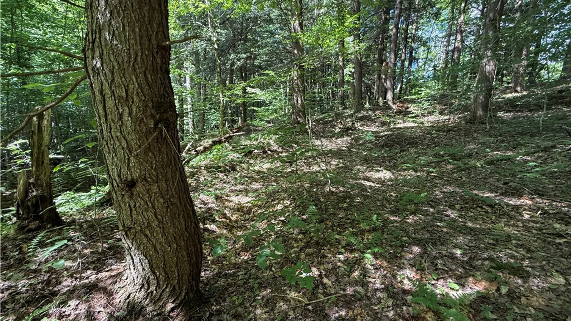 Property at Cr-47, Redfield, NY 13437 3