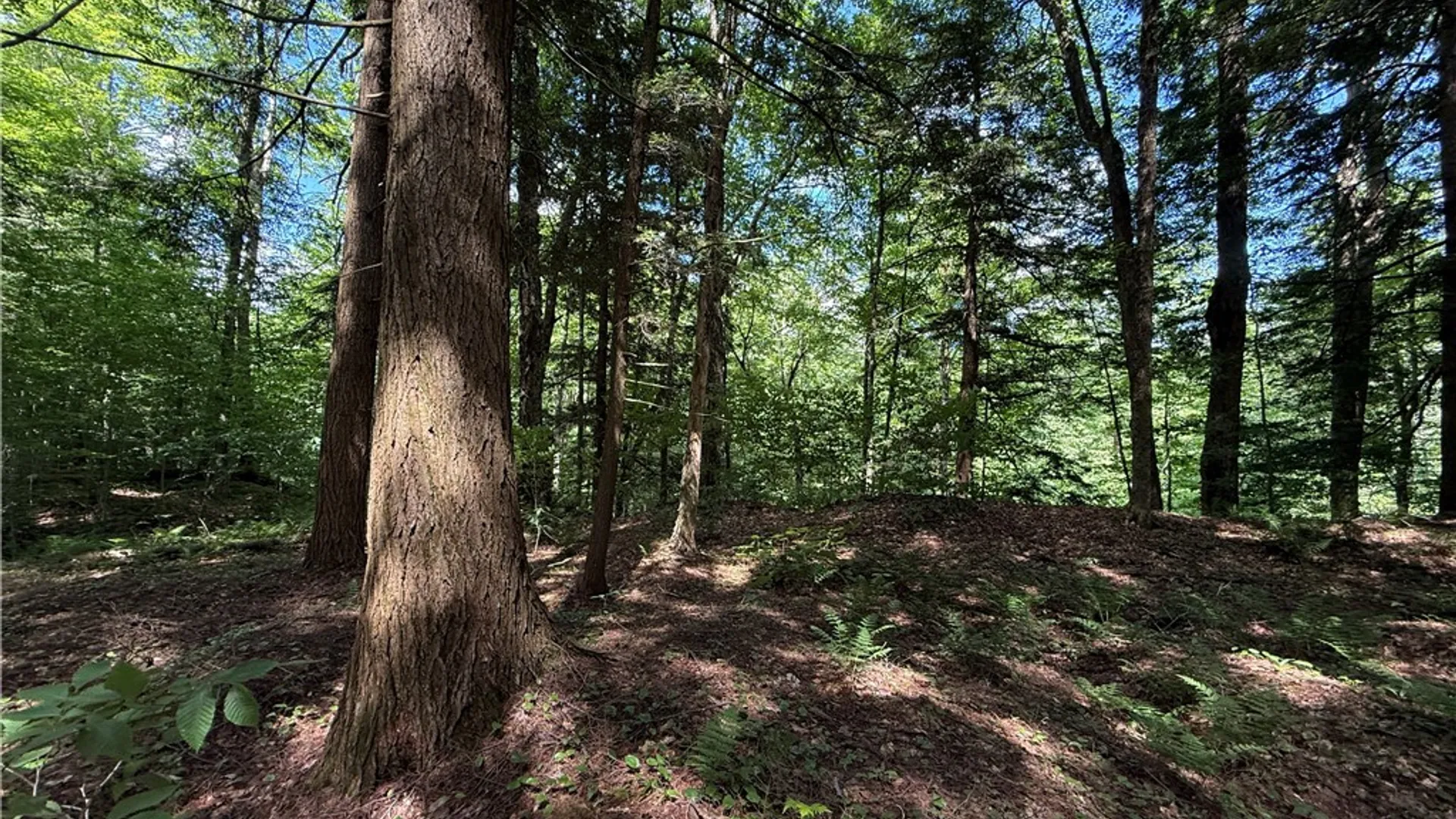 Property at Cr-47, Redfield, NY 13437 4