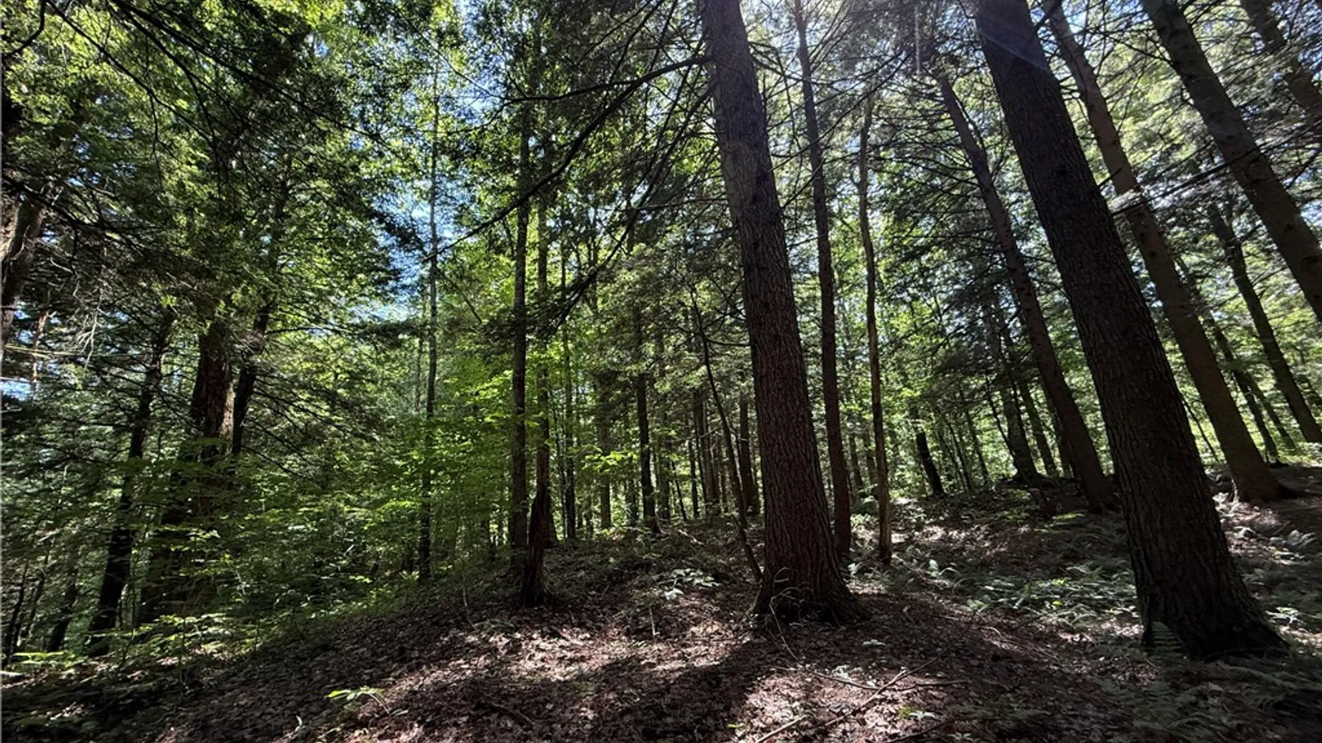 Property at Cr-47, Redfield, NY 13437 7