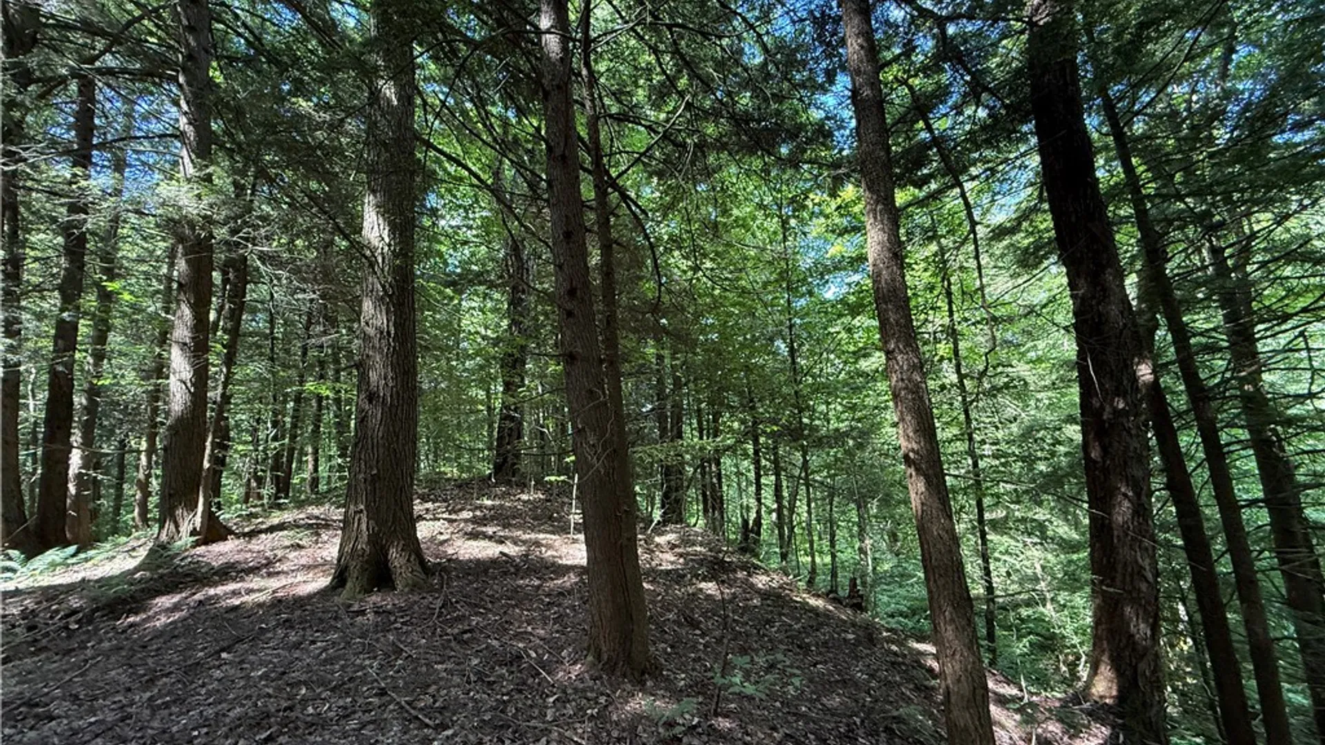 Property at Cr-47, Redfield, NY 13437 8
