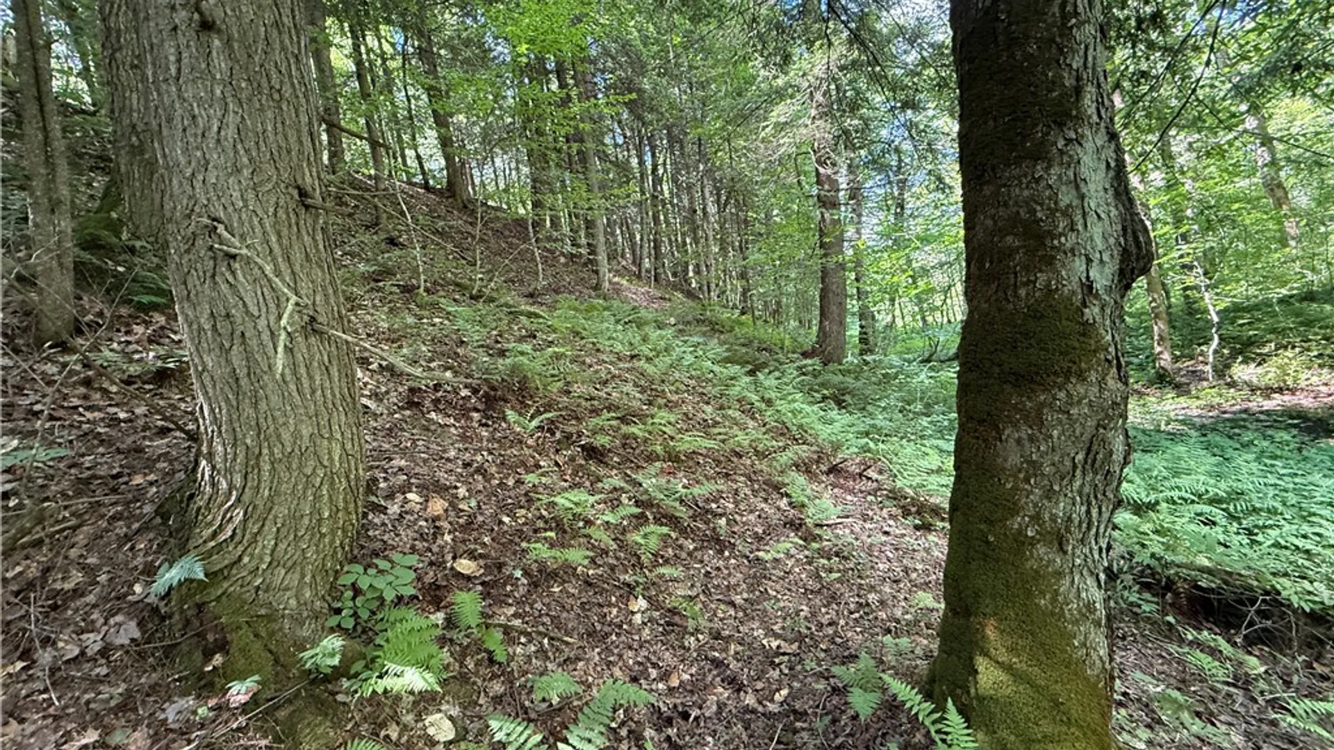 Property at Cr-47, Redfield, NY 13437 9