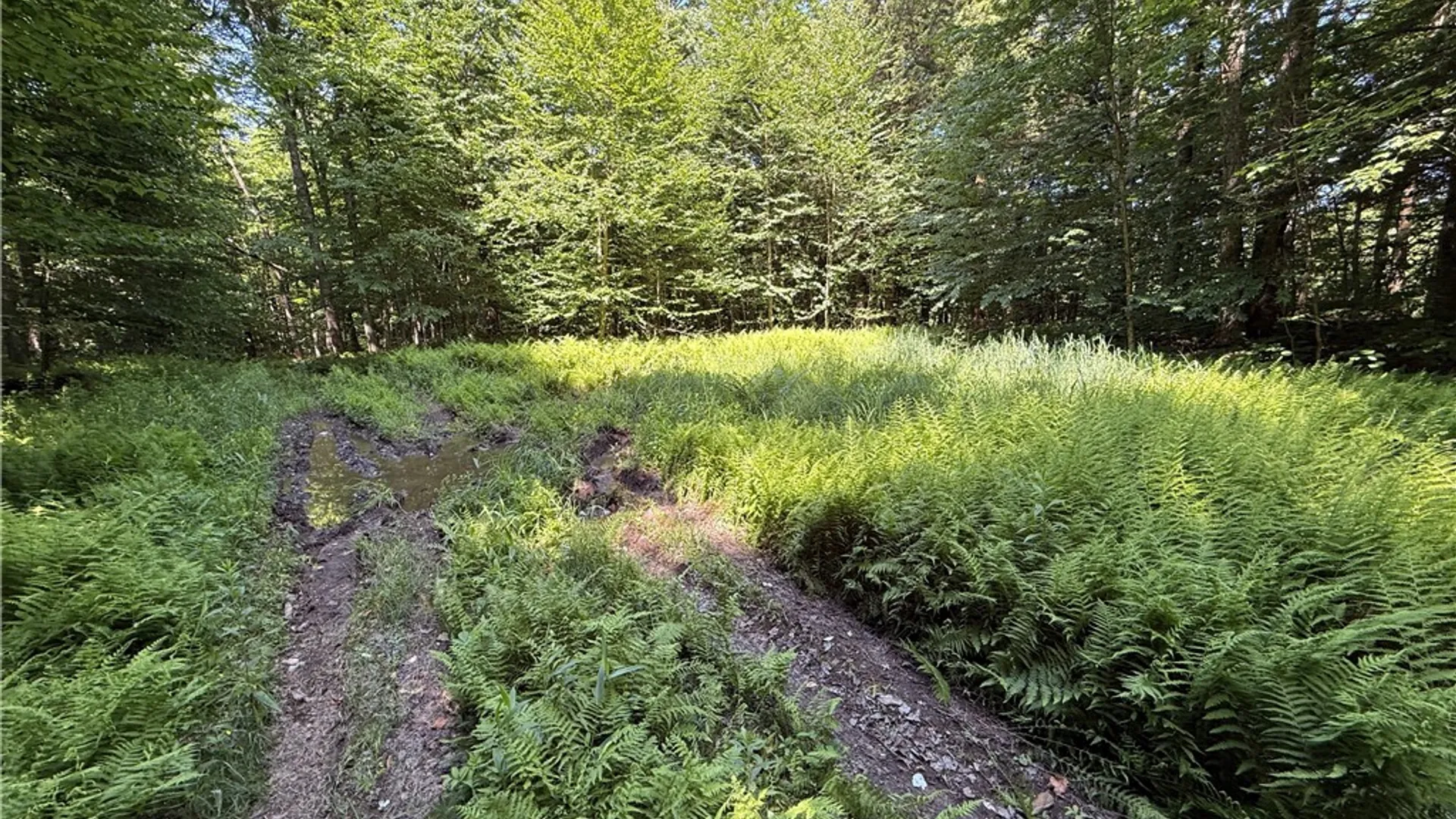 Property at Cr-47, Redfield, NY 13437 25
