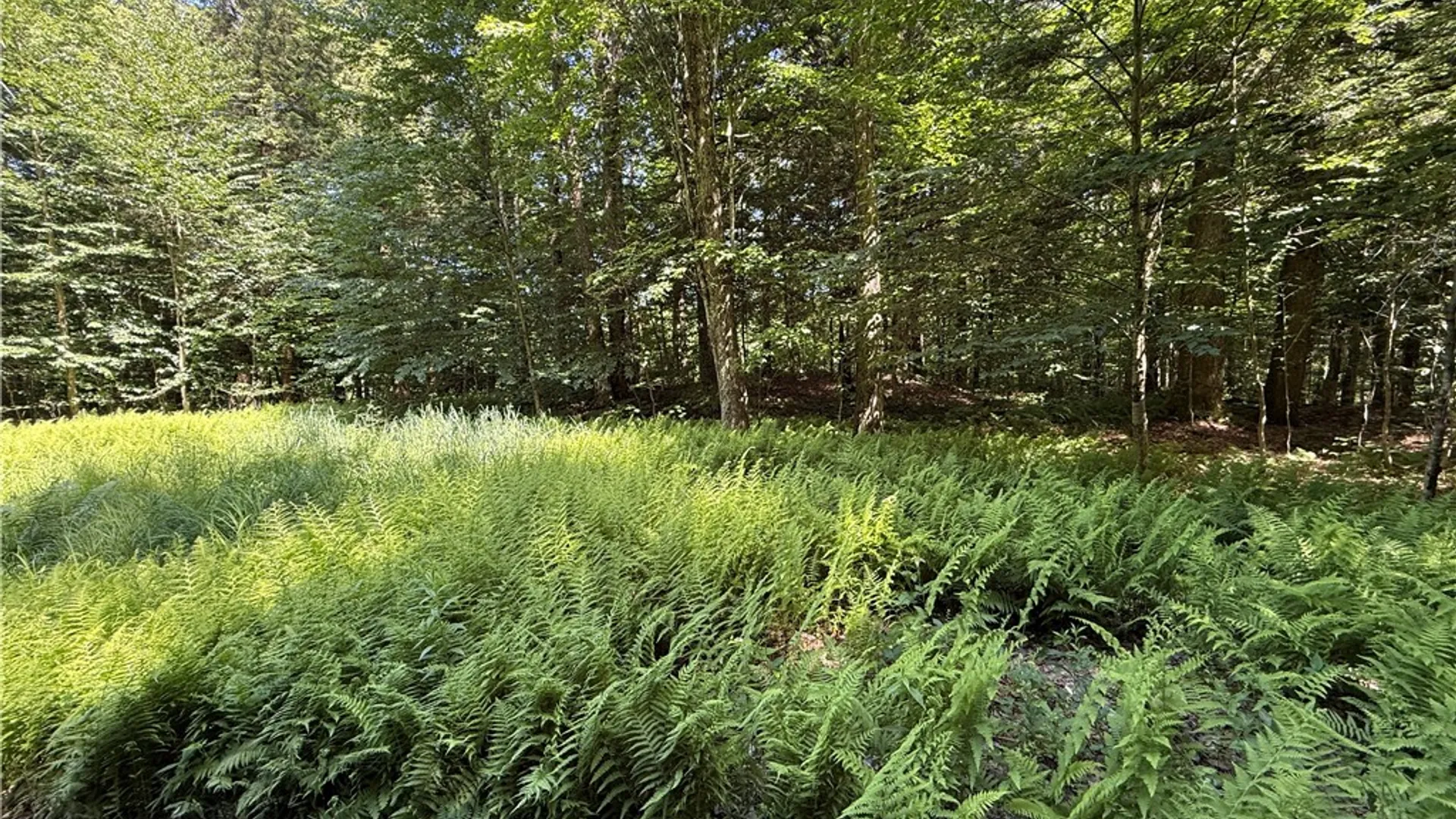 Property at Cr-47, Redfield, NY 13437 26