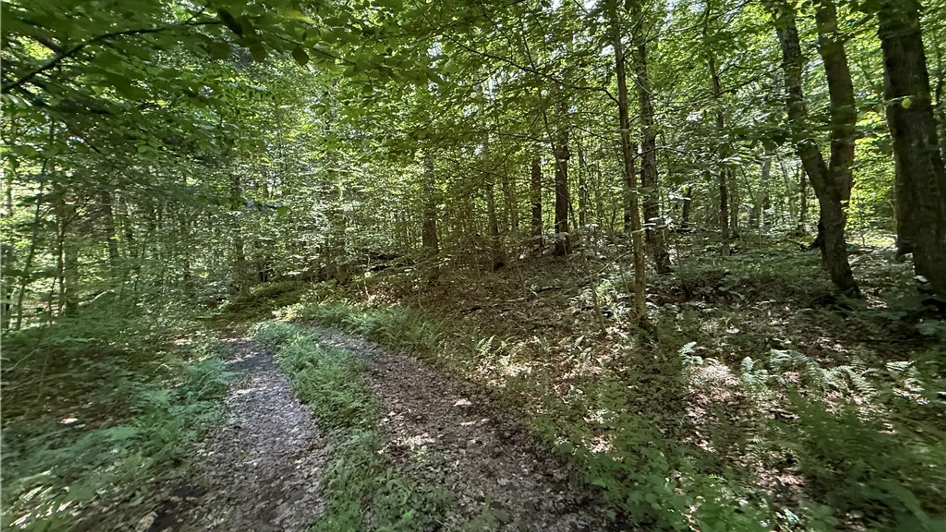 Property at Cr-47, Redfield, NY 13437 27