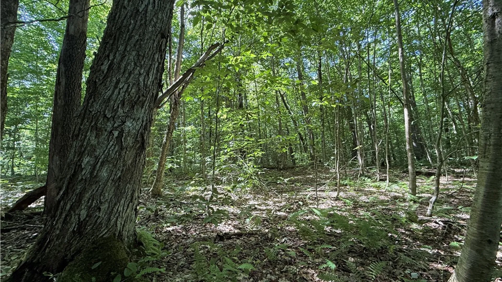 Property at Cr-47, Redfield, NY 13437 28
