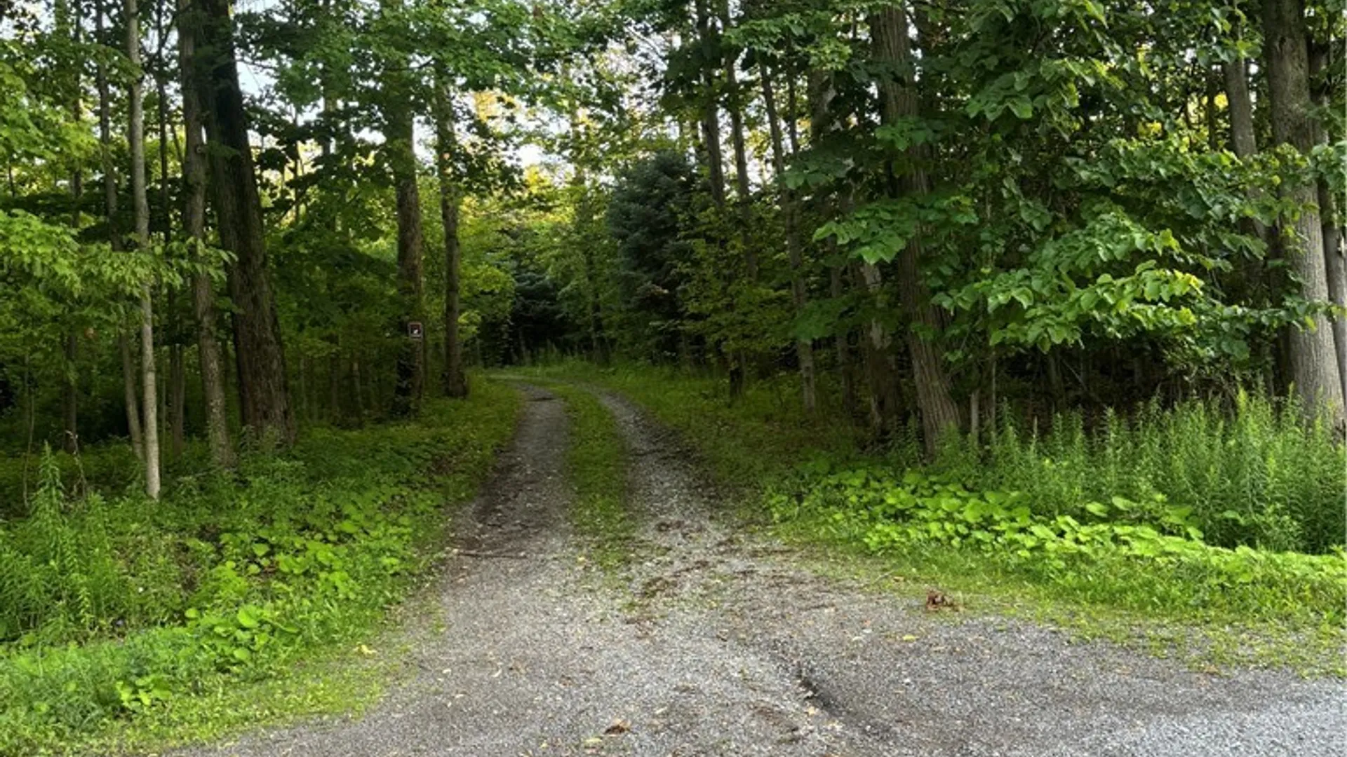 Property at 4194 Fullington Road, Attica, NY 14011 3