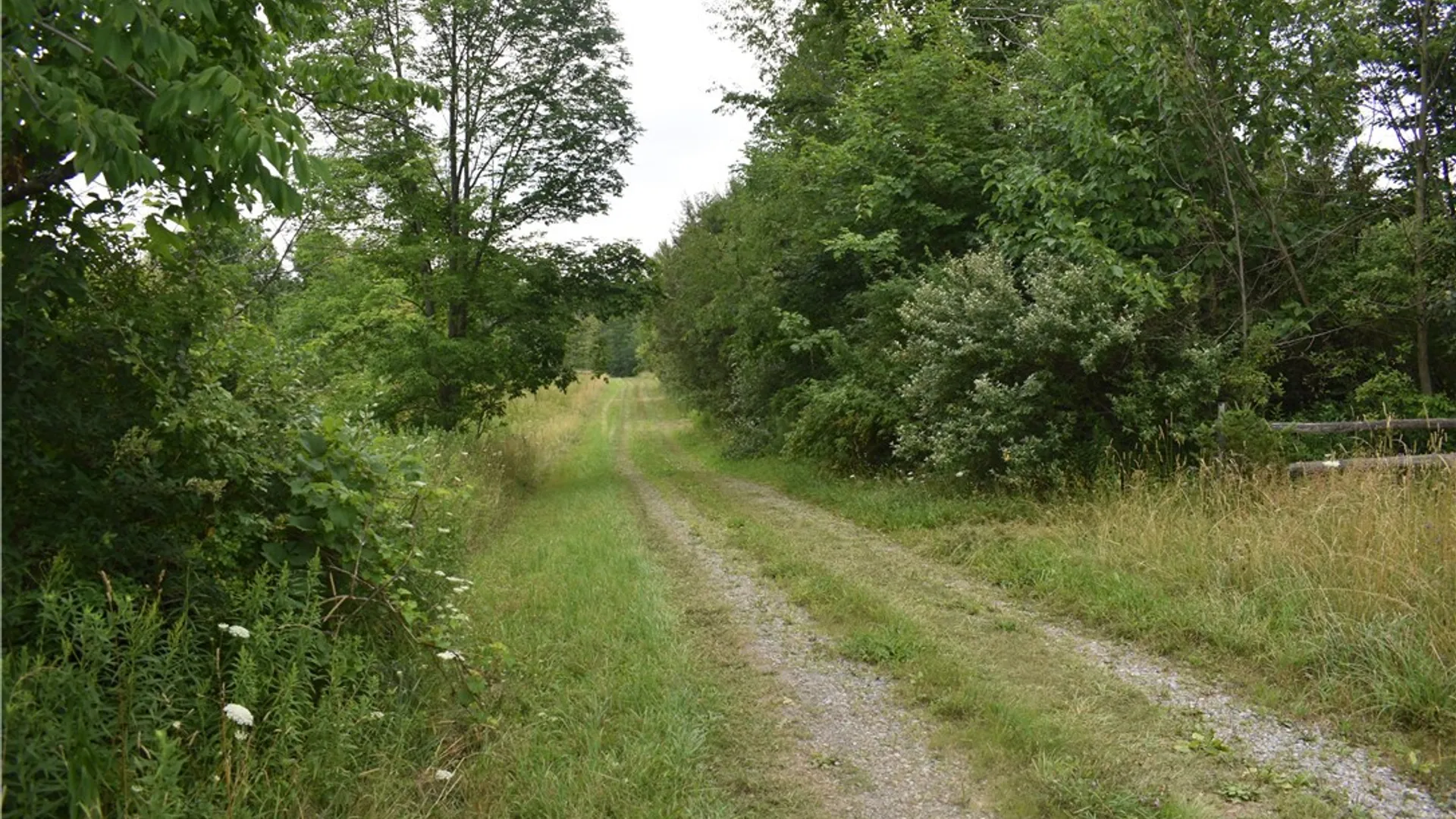 Property at Vermont Hill, Holland, NY 14080 3