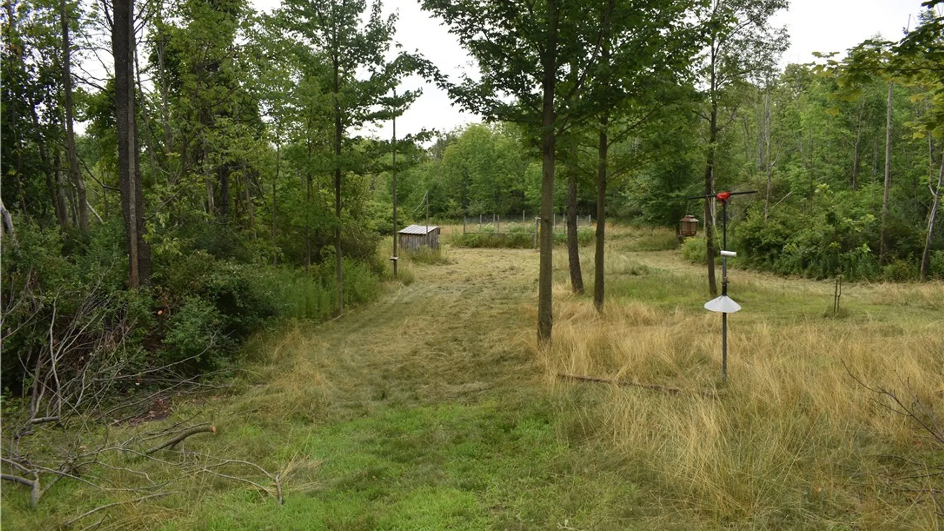 Property at Vermont Hill, Holland, NY 14080 5