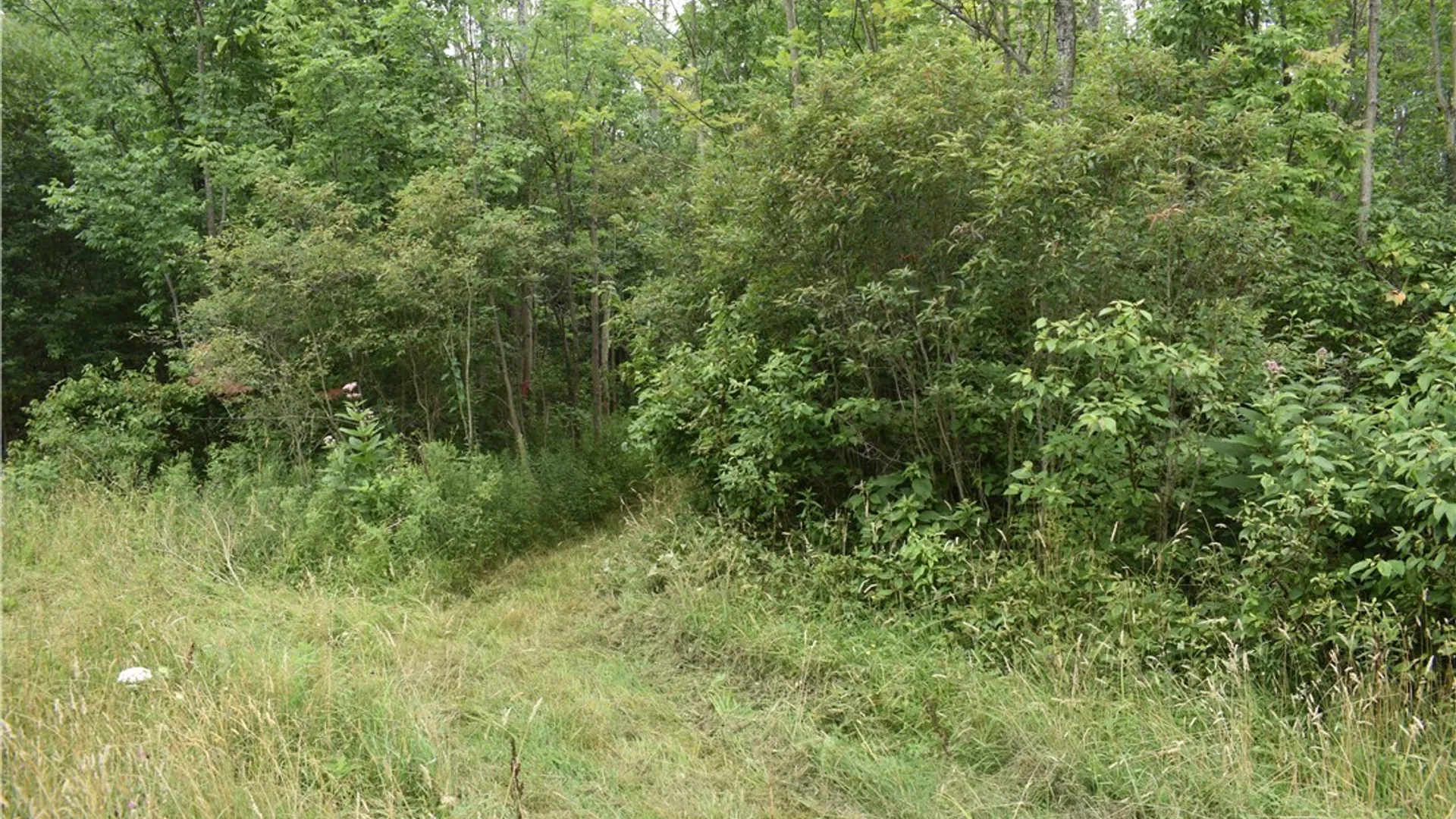 Property at Vermont Hill, Holland, NY 14080 11