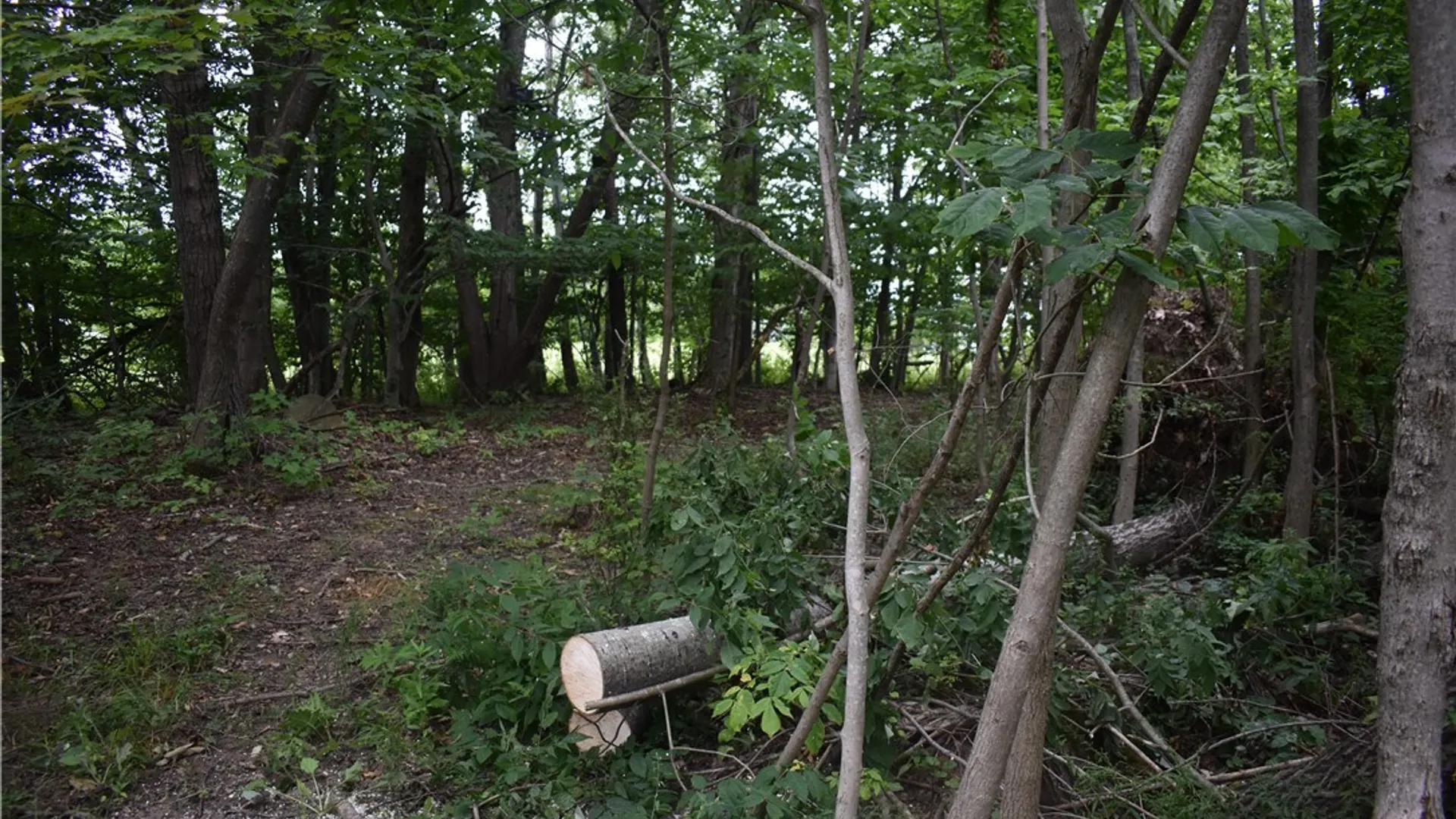 Property at Vermont Hill, Holland, NY 14080 13