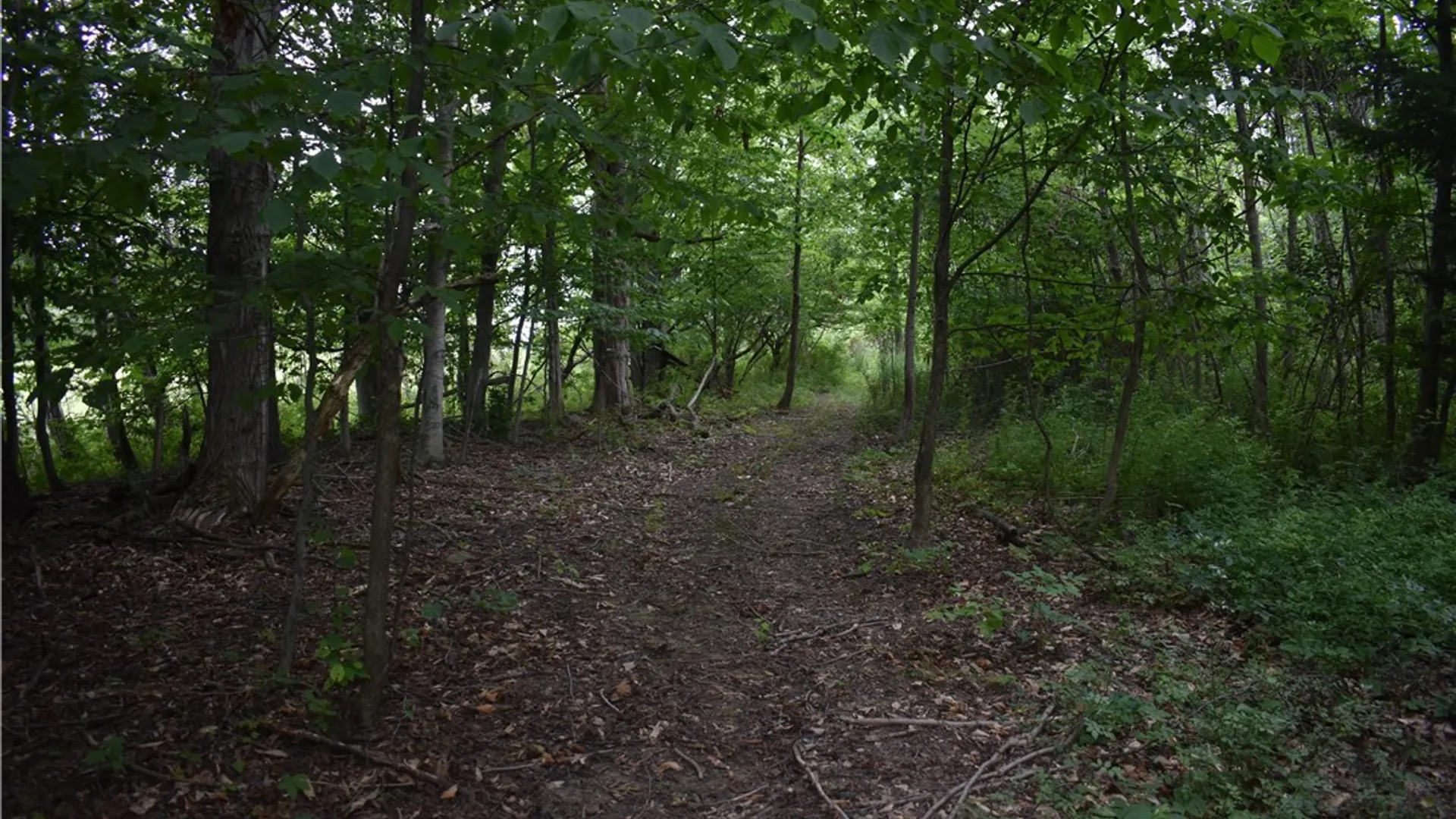 Property at Vermont Hill, Holland, NY 14080 14