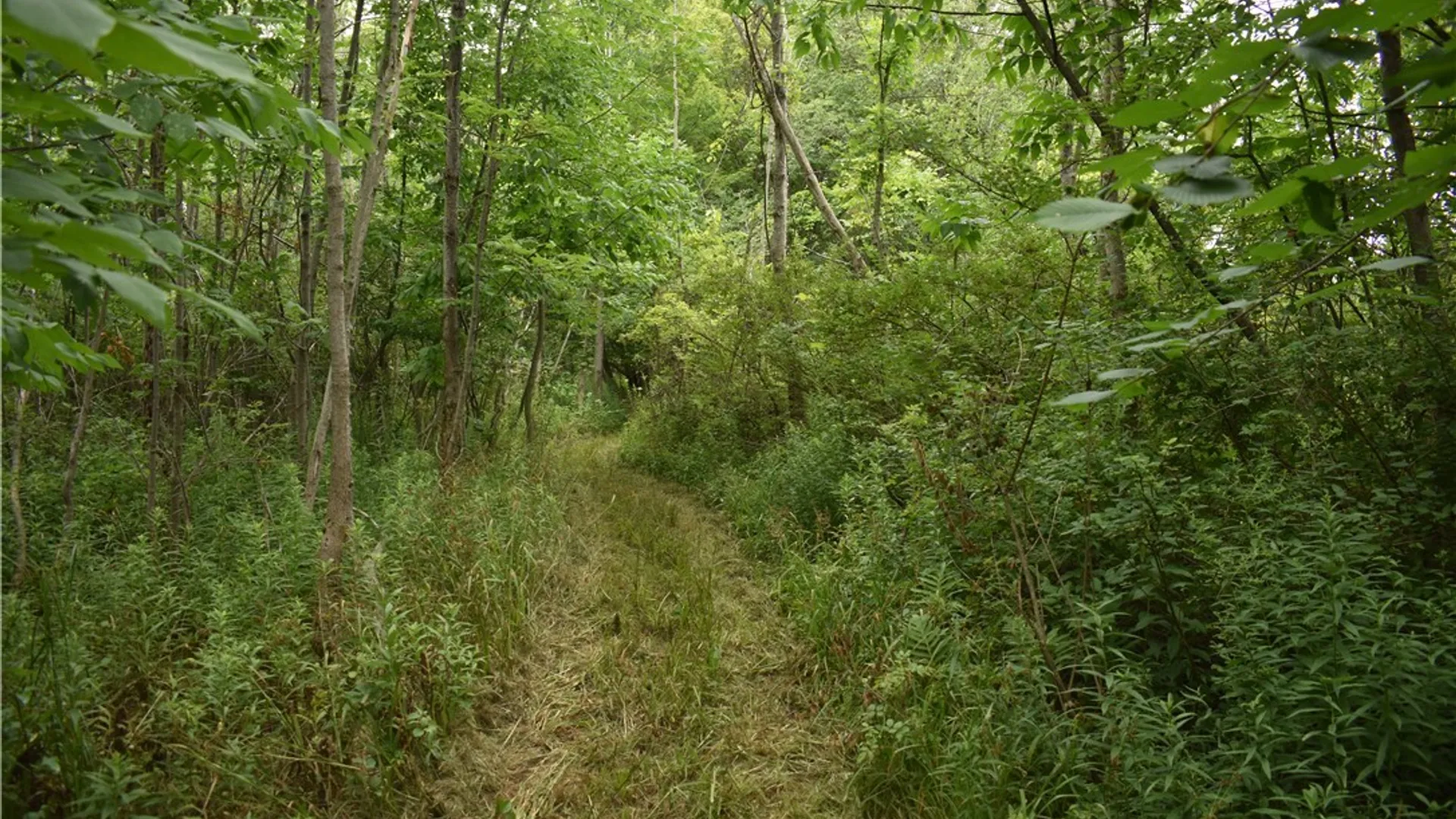 Property at Vermont Hill, Holland, NY 14080 15