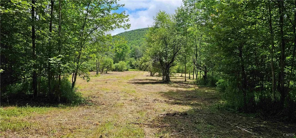 Property at 1233 State Route 221, Harford, NY 13803