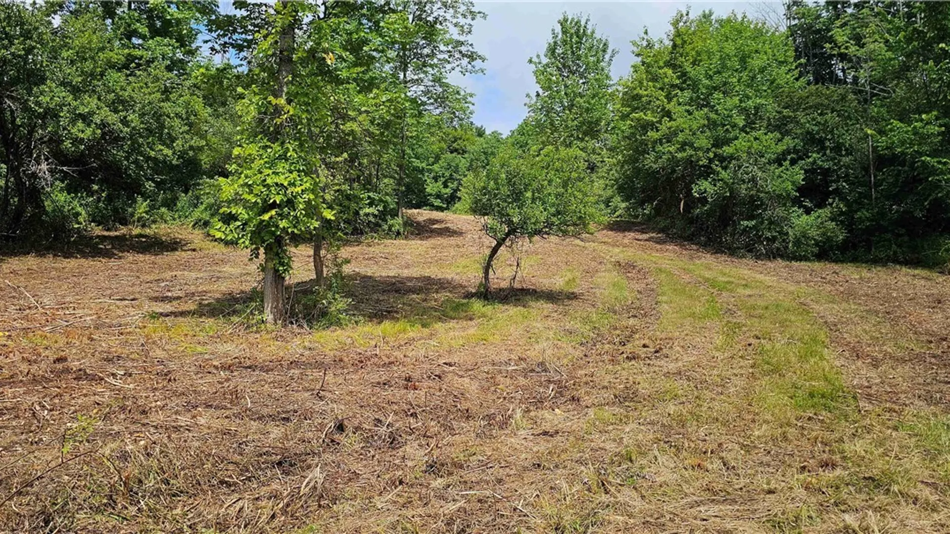 Property at 1233 State Route 221, Harford, NY 13803 5