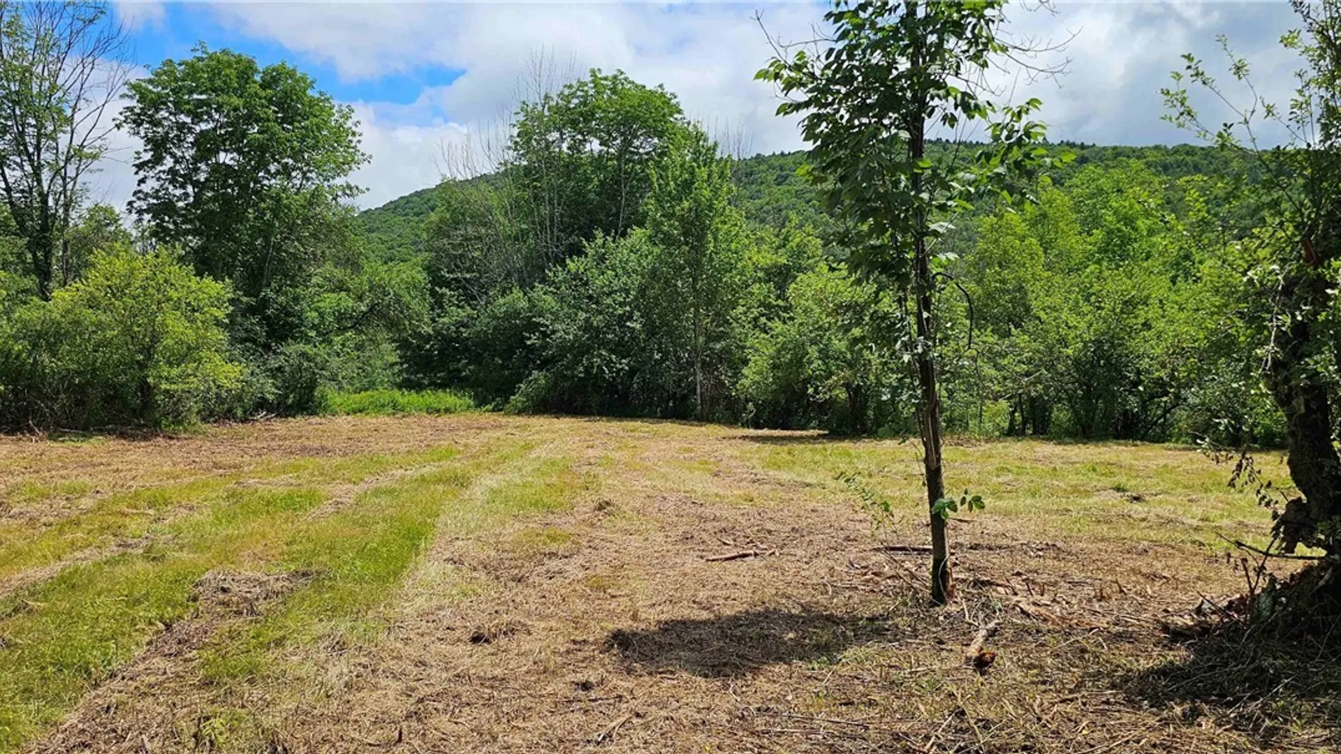 Property at 1233 State Route 221, Harford, NY 13803 10