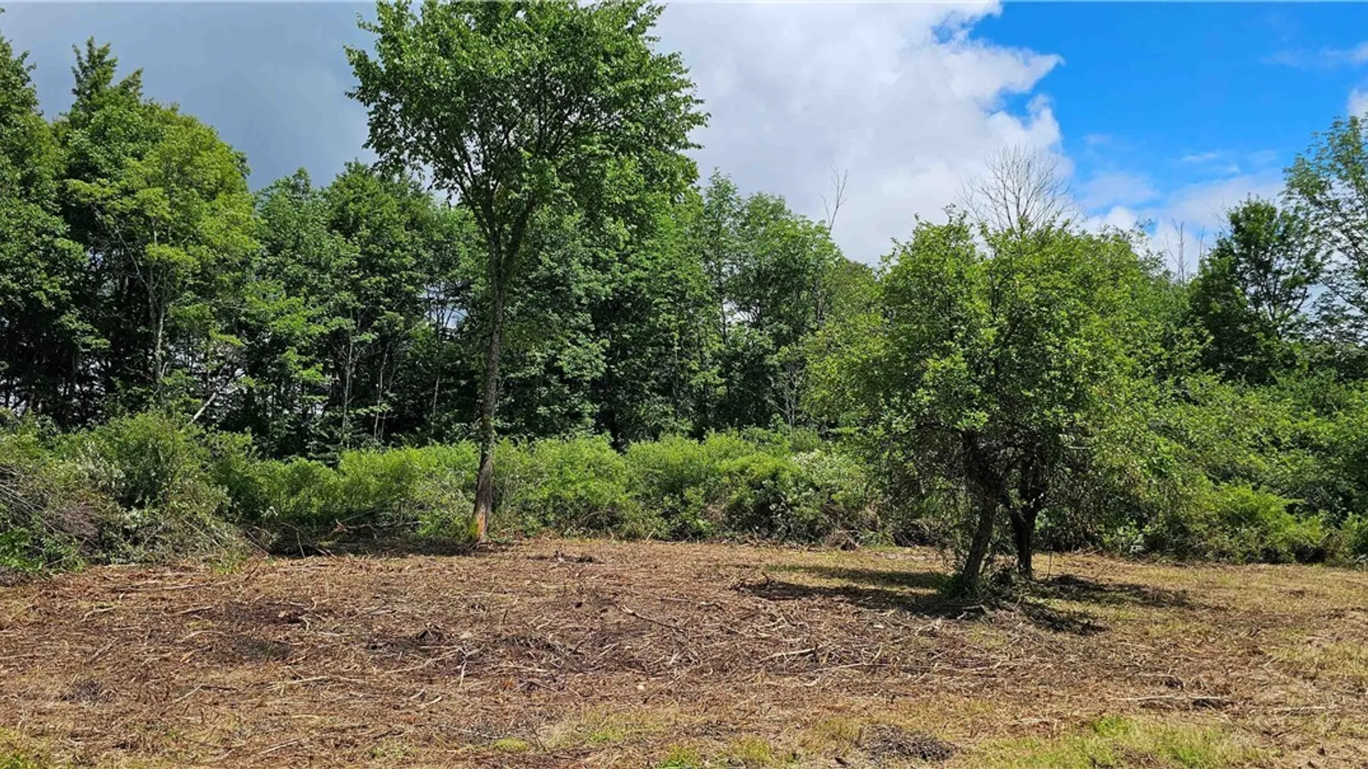 Property at 1233 State Route 221, Harford, NY 13803 11