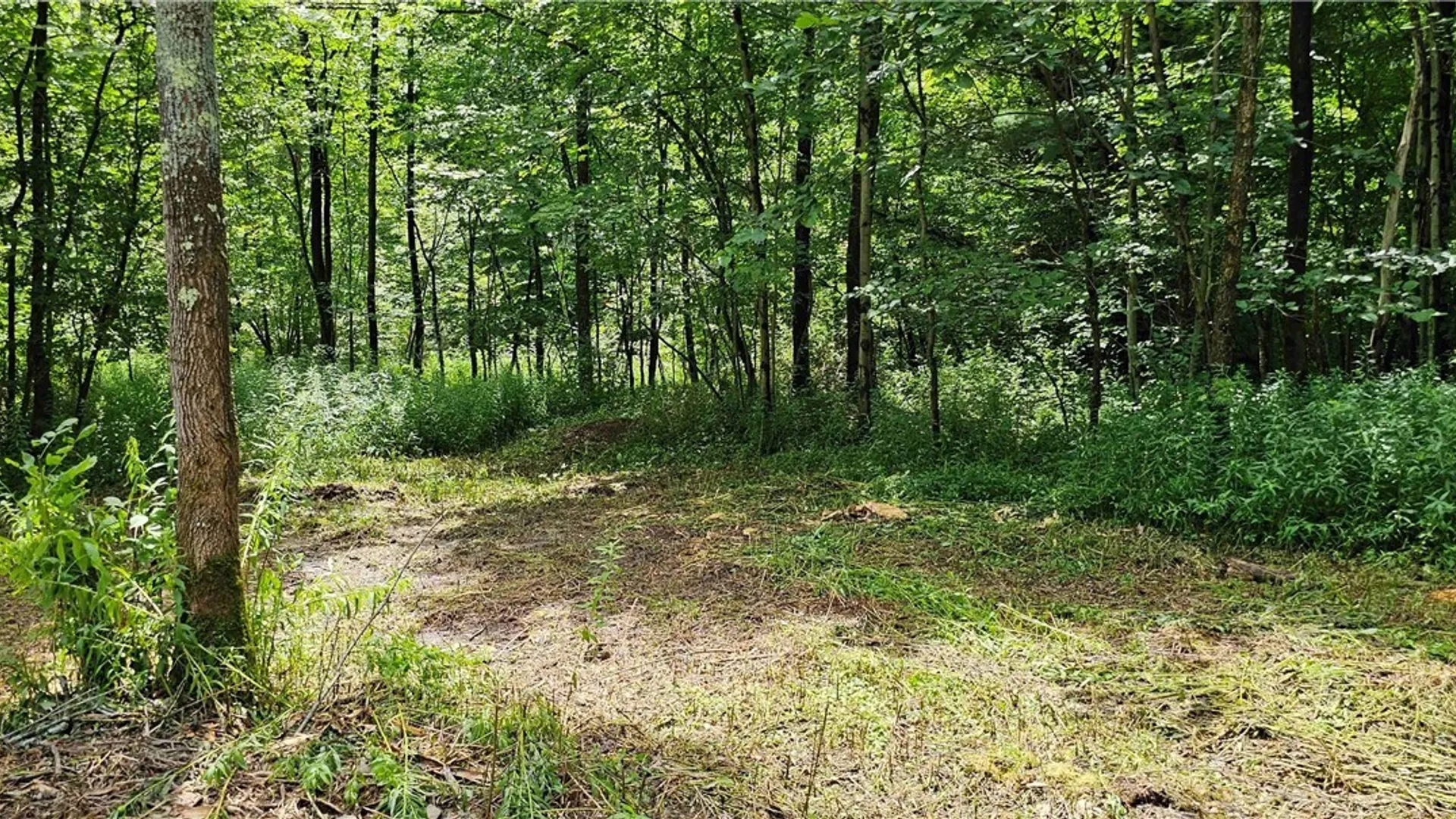 Property at 1233 State Route 221, Harford, NY 13803 14