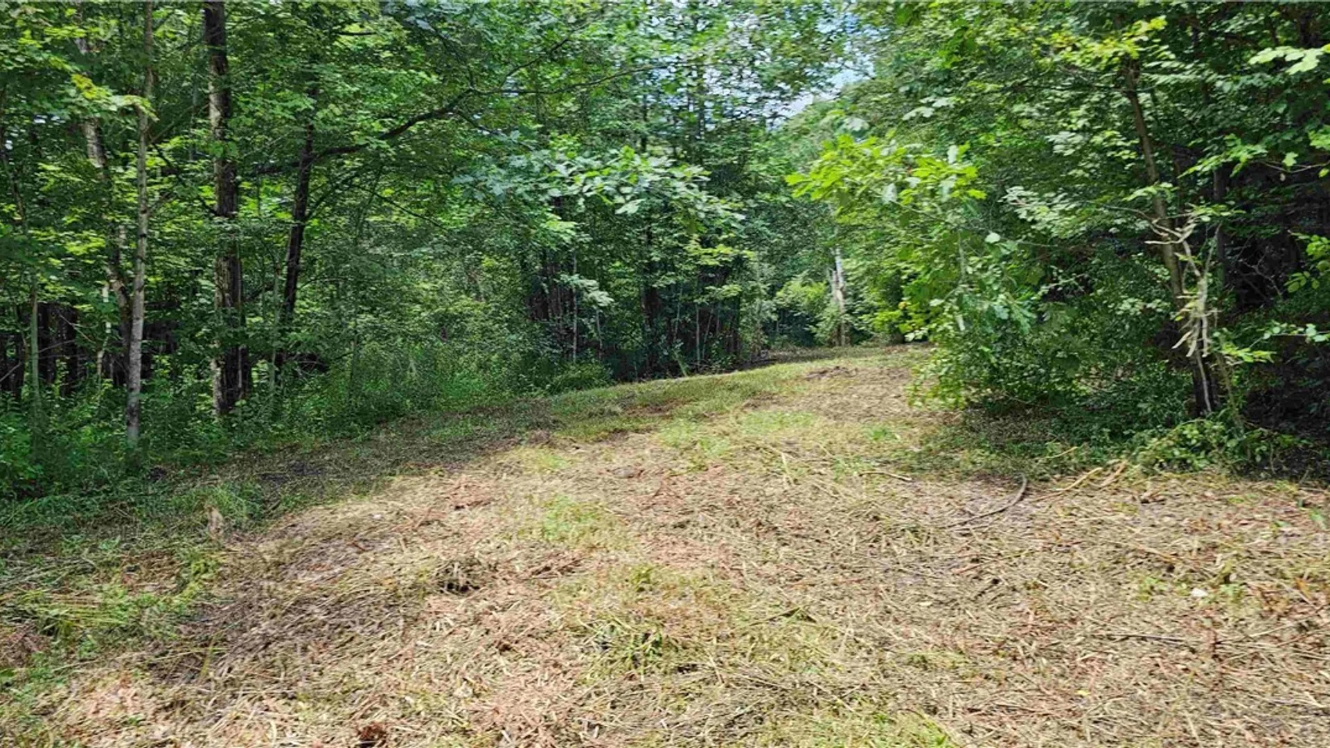 Property at 1233 State Route 221, Harford, NY 13803 15