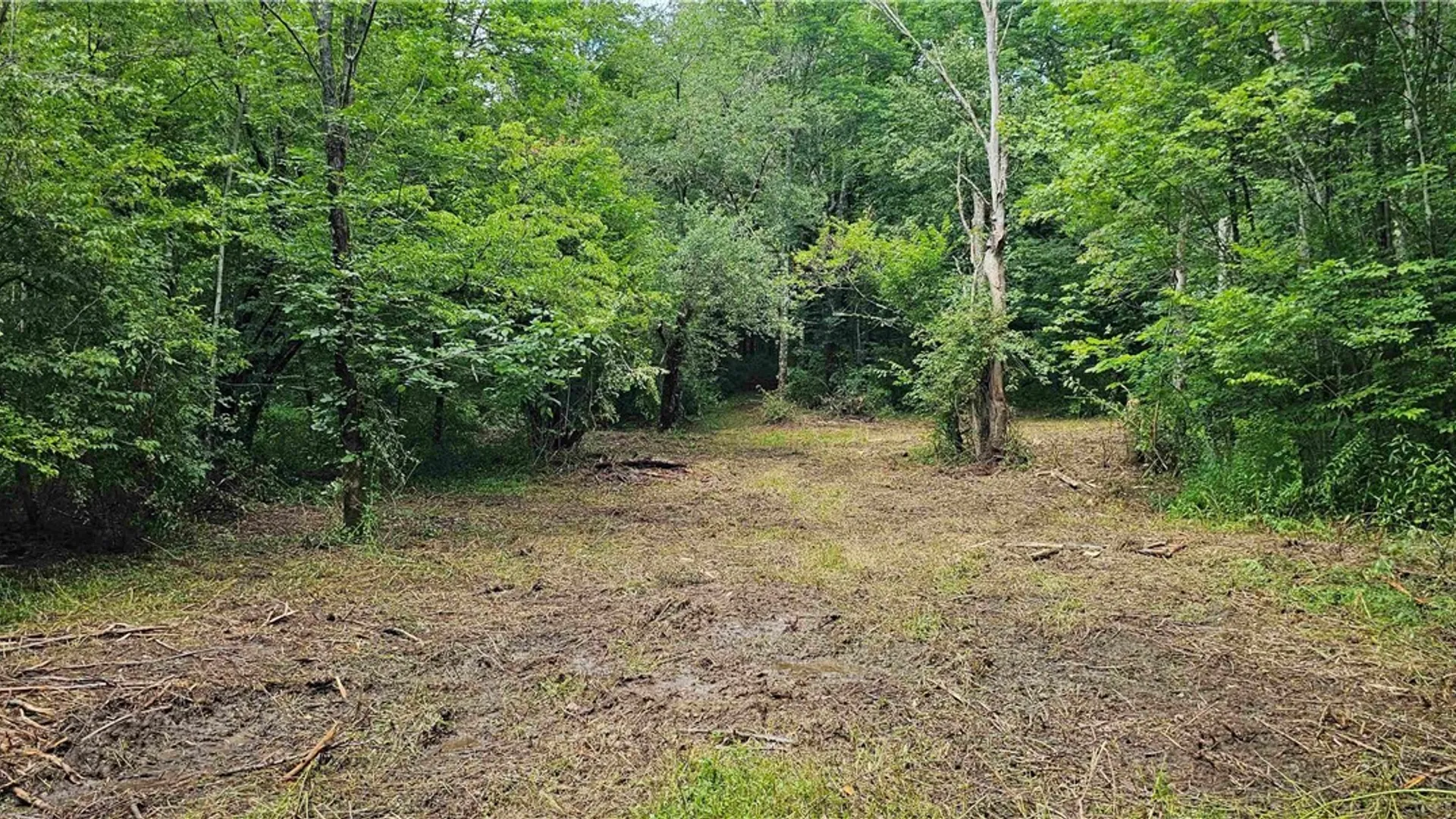 Property at 1233 State Route 221, Harford, NY 13803 16