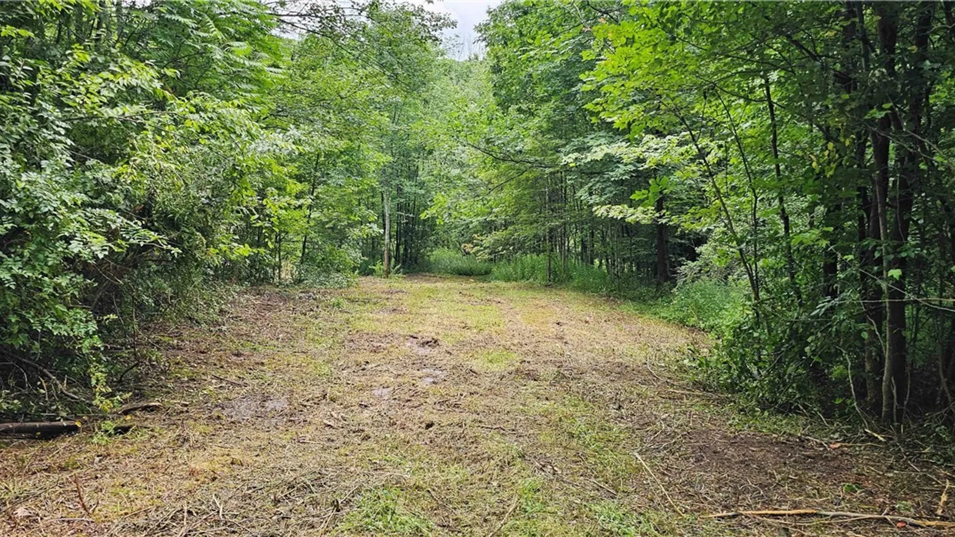 Property at 1233 State Route 221, Harford, NY 13803 19