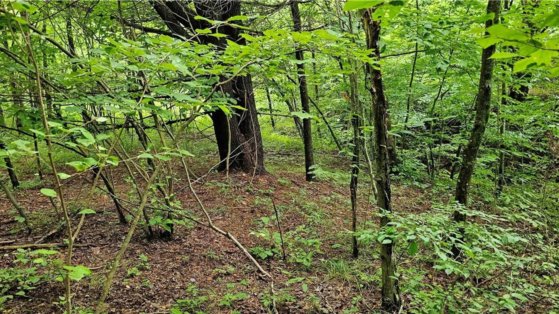Property at 1233 State Route 221, Harford, NY 13803 22
