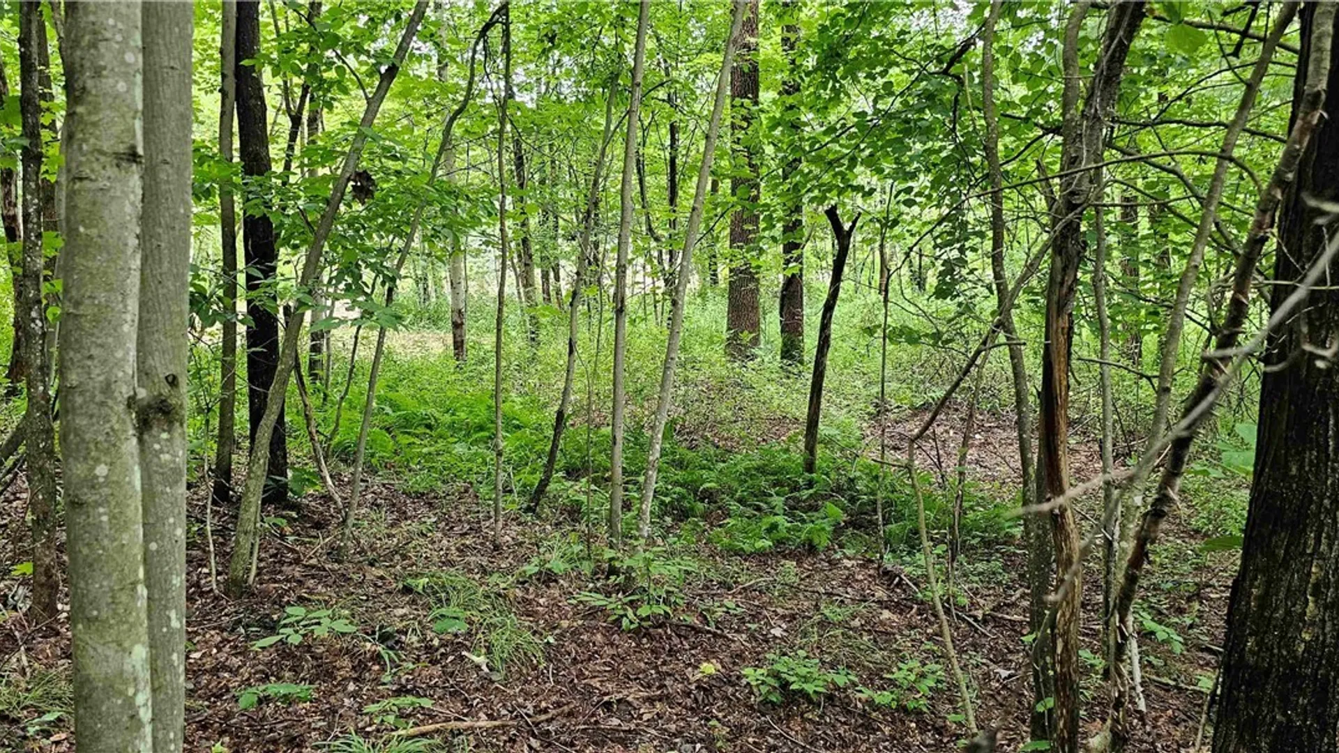 Property at 1233 State Route 221, Harford, NY 13803 23