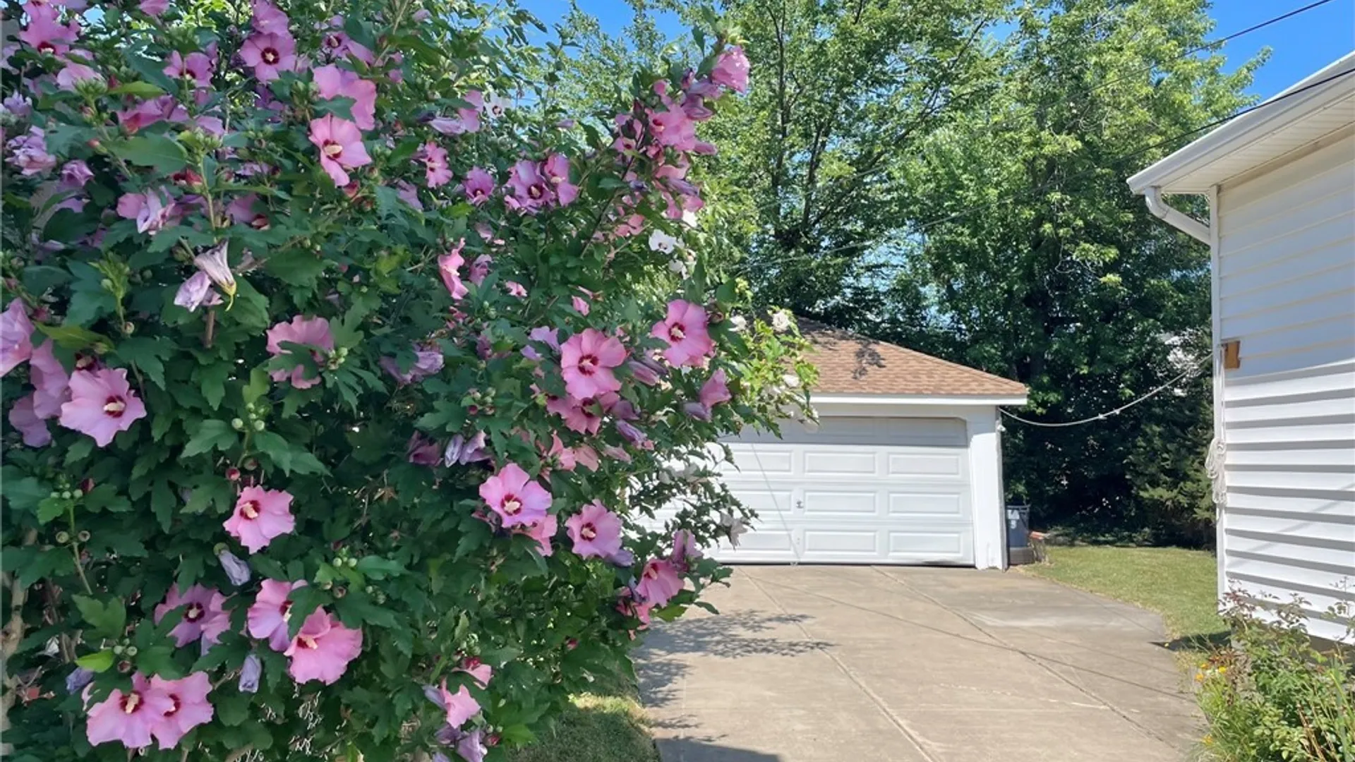 Property at 504 Capen Boulevard, Amherst, NY 14226 41