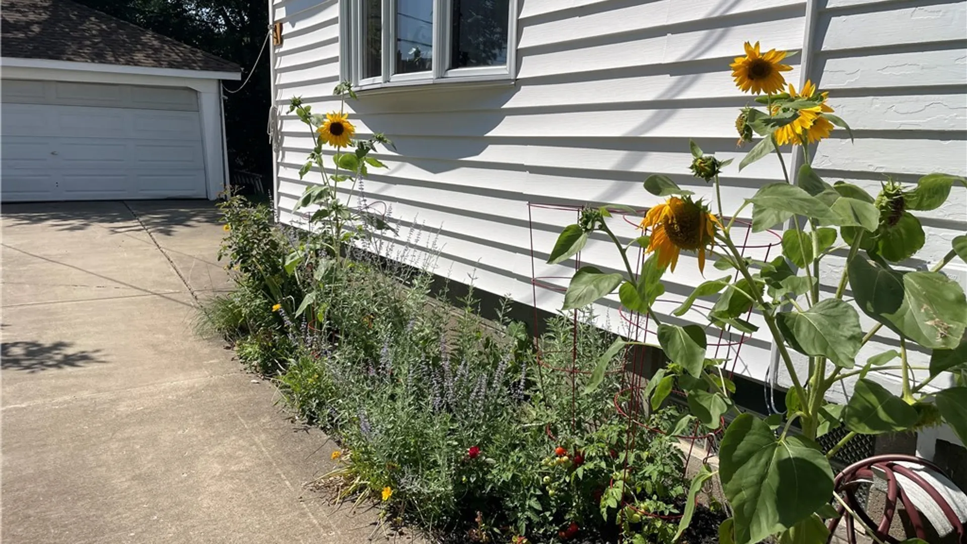 Property at 504 Capen Boulevard, Amherst, NY 14226 38