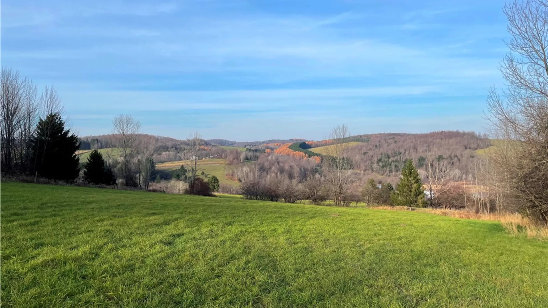 Property at Lot 20.111 Billings Hill Road Road, Lebanon, NY 13334 21