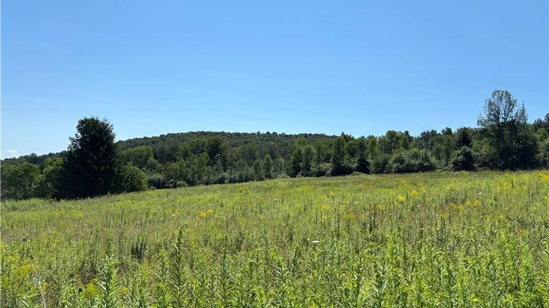 Property at Lot 20.111 Billings Hill Road Road, Lebanon, NY 13334 22