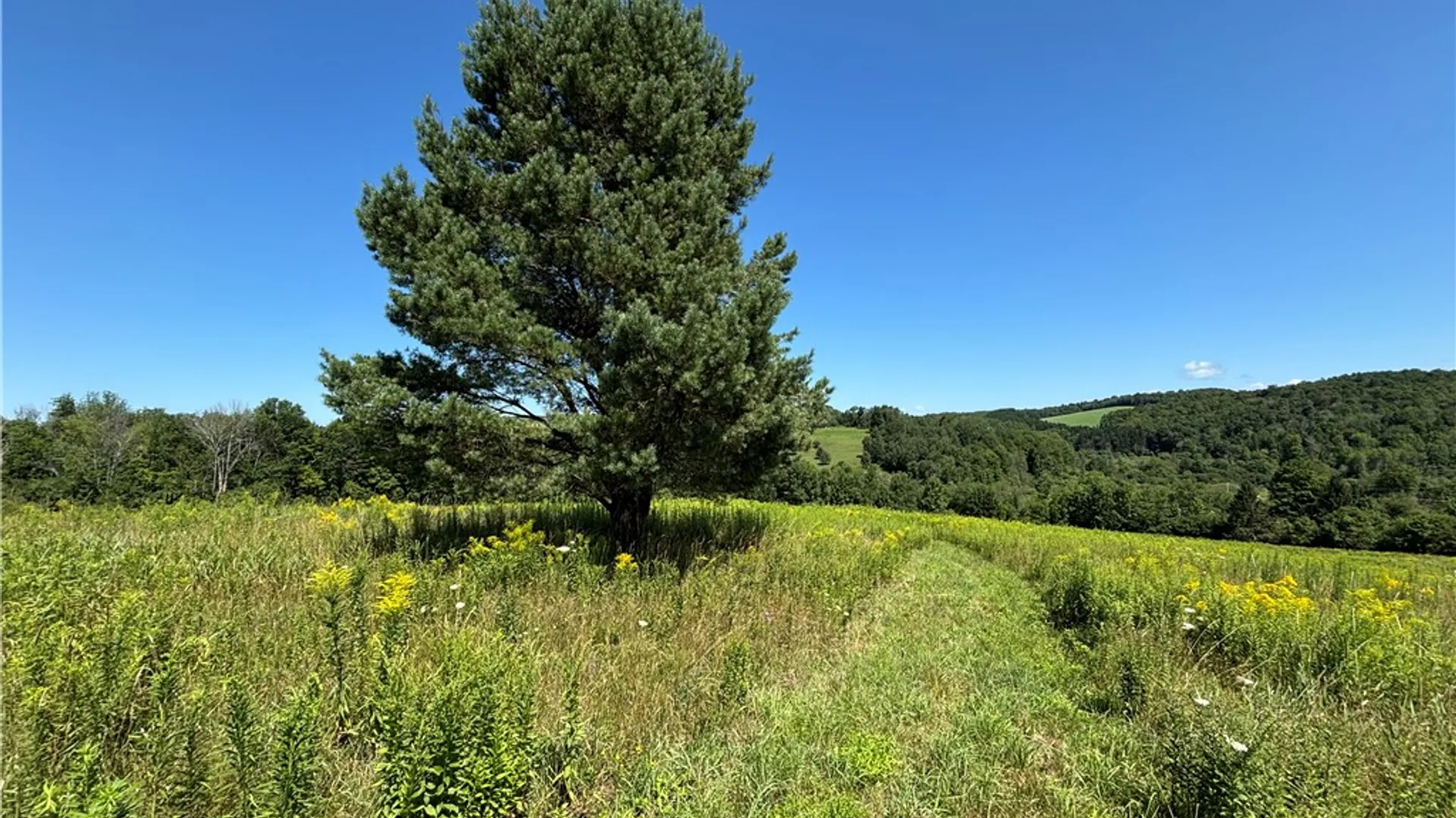Property at Lot 20.111 Billings Hill Road Road, Lebanon, NY 13334 23