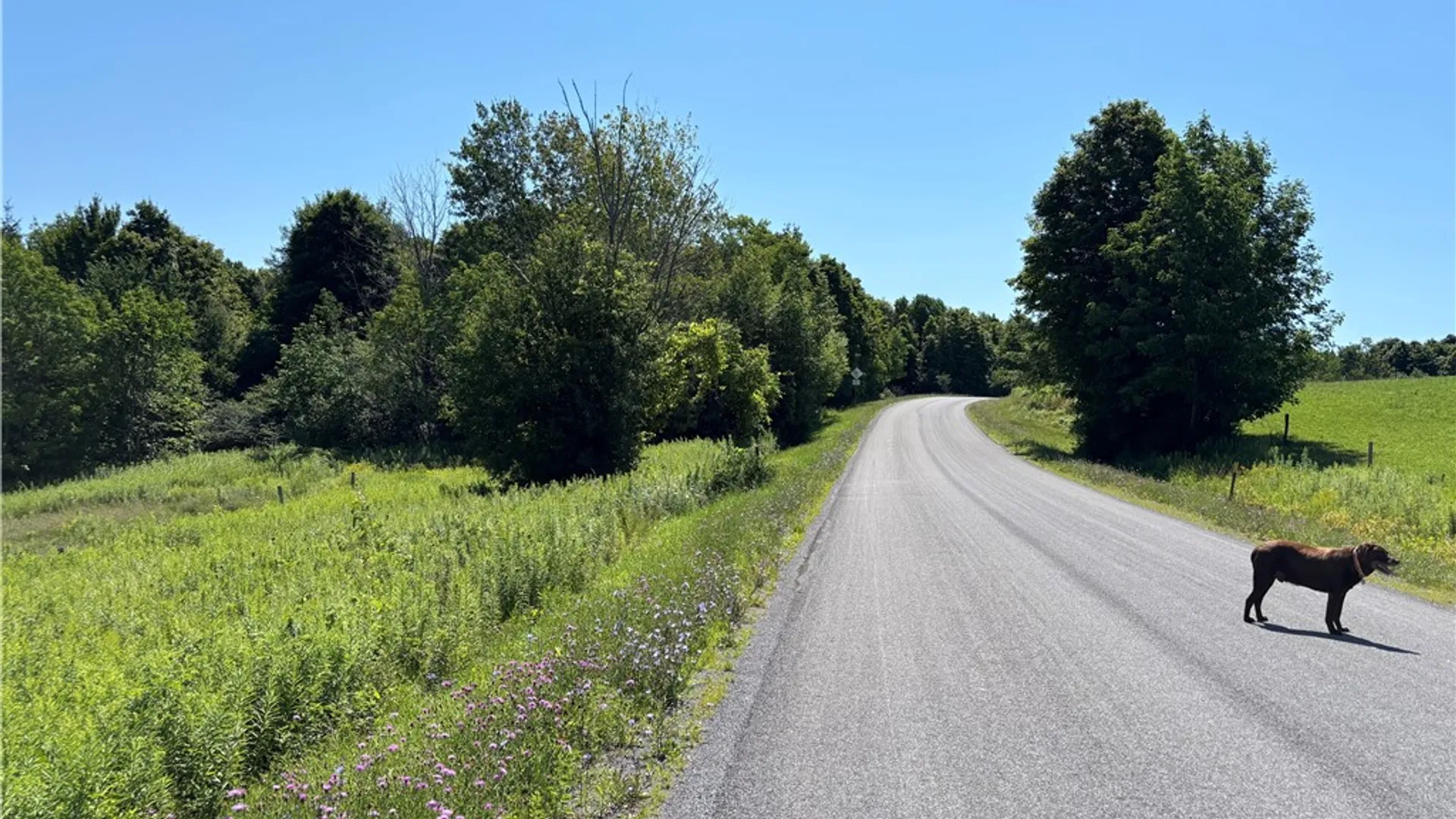 Property at Lot 20.111 Billings Hill Road Road, Lebanon, NY 13334 25