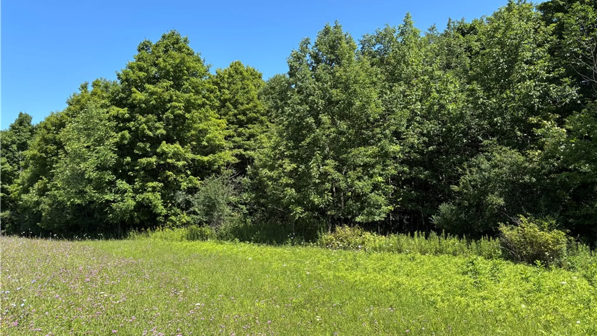 Property at Lot 20.111 Billings Hill Road Road, Lebanon, NY 13334 26