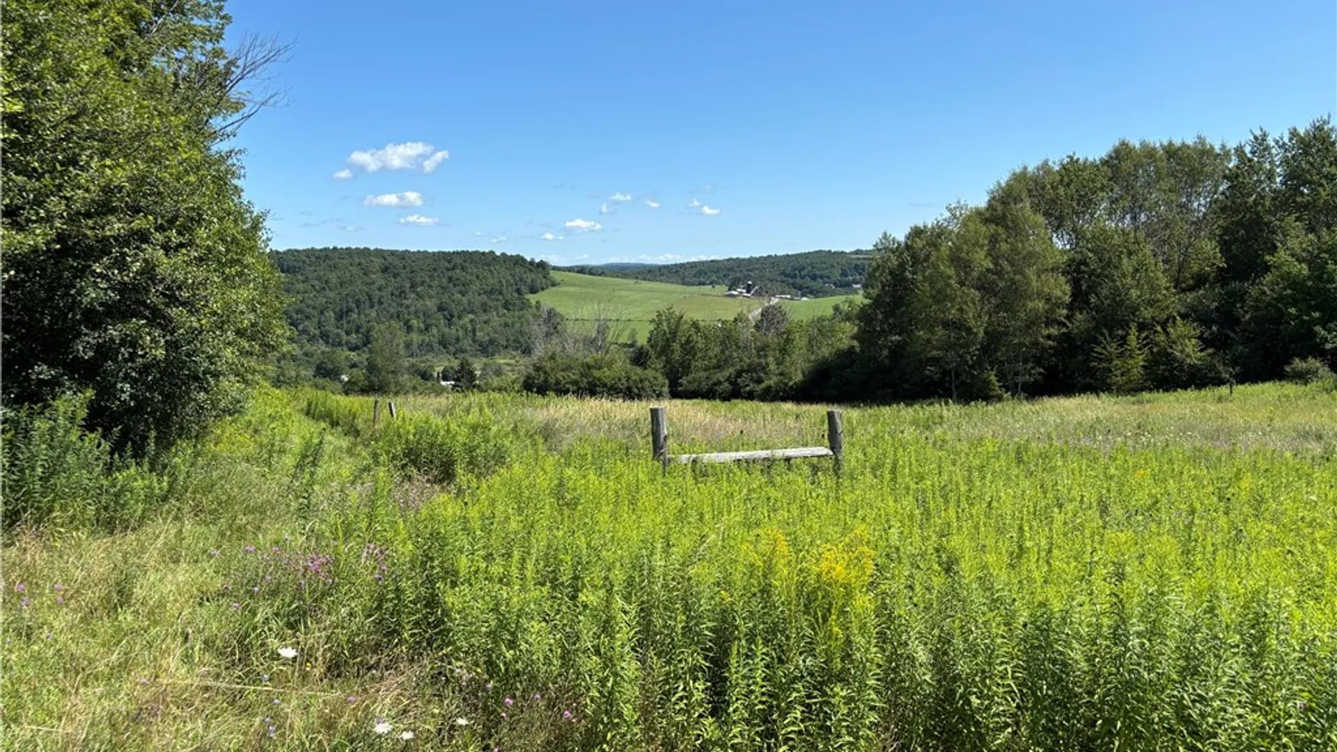 Property at Lot 20.111 Billings Hill Road Road, Lebanon, NY 13334 4