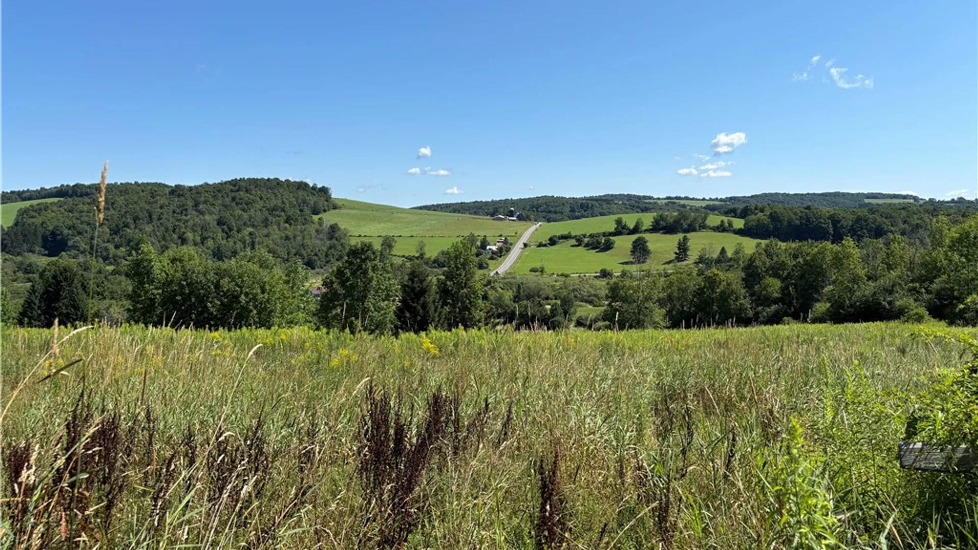 Property at Lot 20.111 Billings Hill Road Road, Lebanon, NY 13334 6