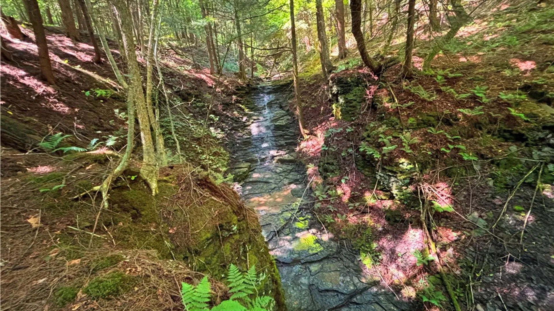 Property at Lot 20.111 Billings Hill Road Road, Lebanon, NY 13334 7