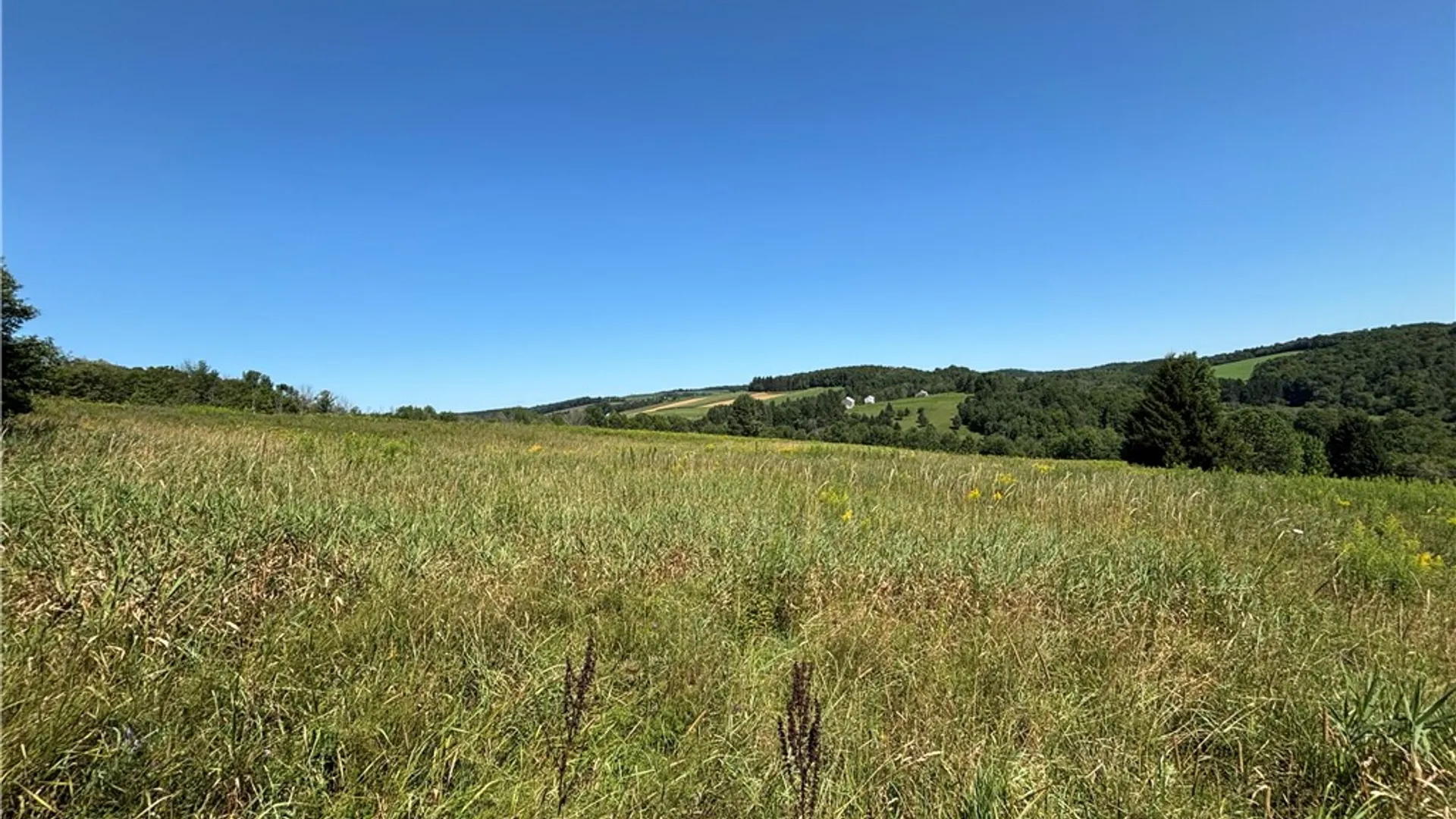Property at Lot 20.111 Billings Hill Road Road, Lebanon, NY 13334 10